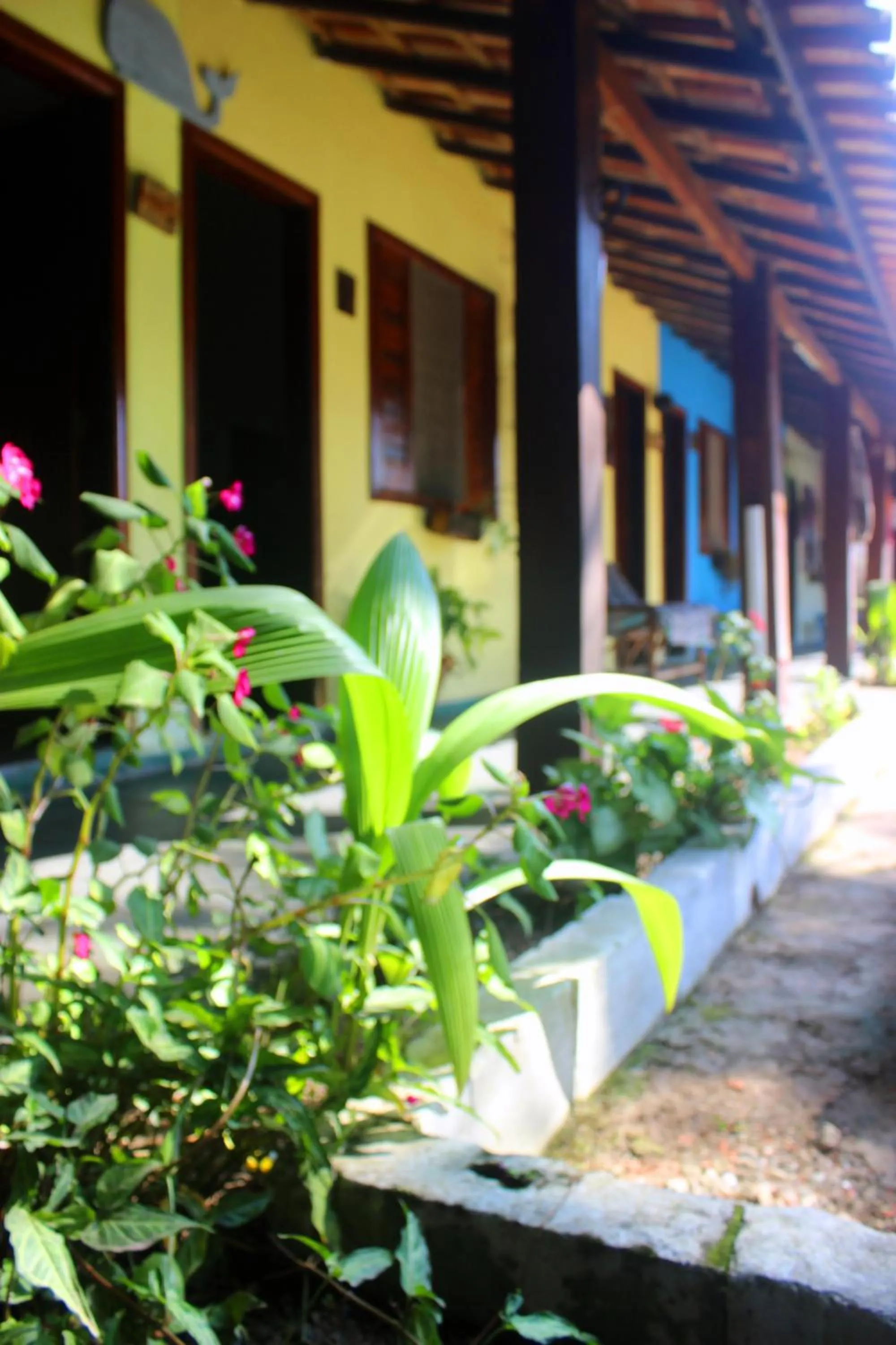 Property building in Pousada Chalé do Beija Flor