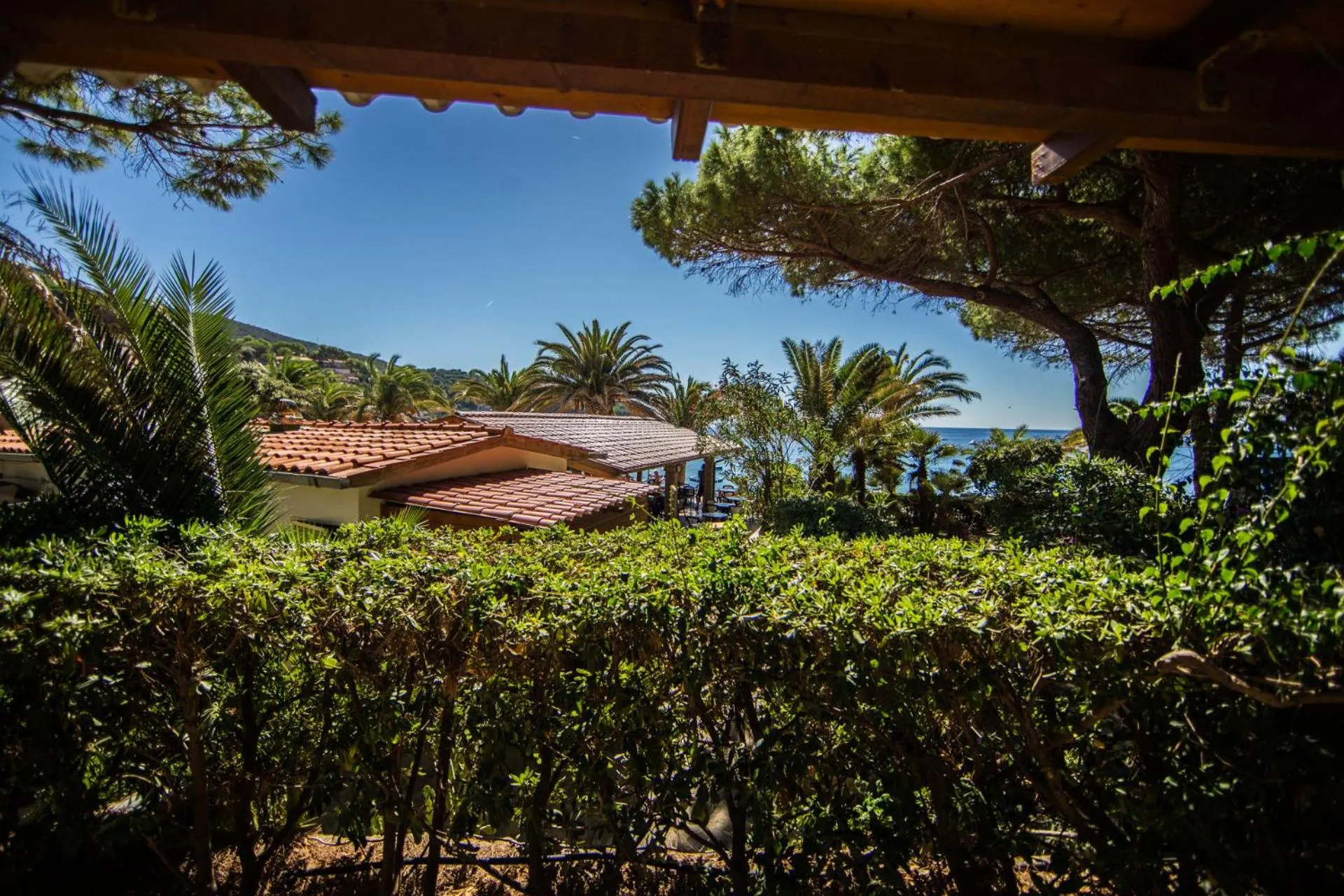 Garden view in Mandel 2 Residence by Mandel club