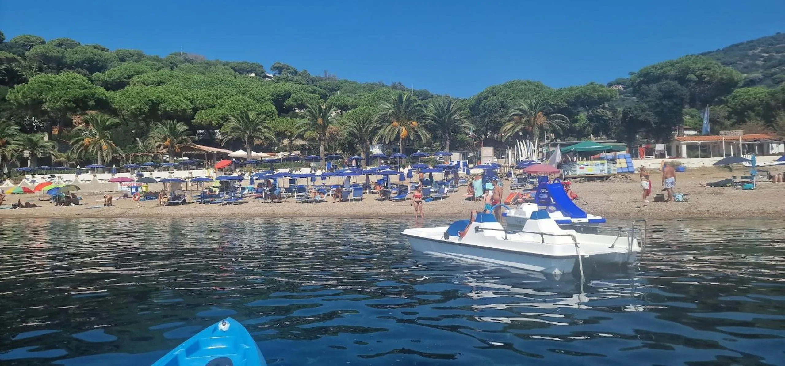 Windsurfing in Mandel 2 Residence by Mandel club