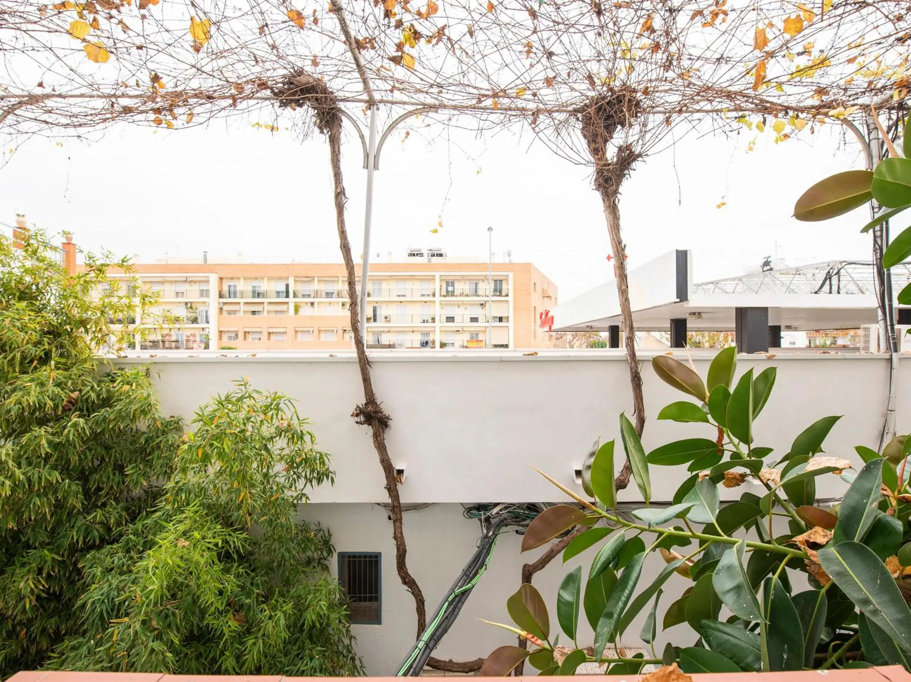 Twin Room in Hostal Santiago Twin Room in Hostal Santiago