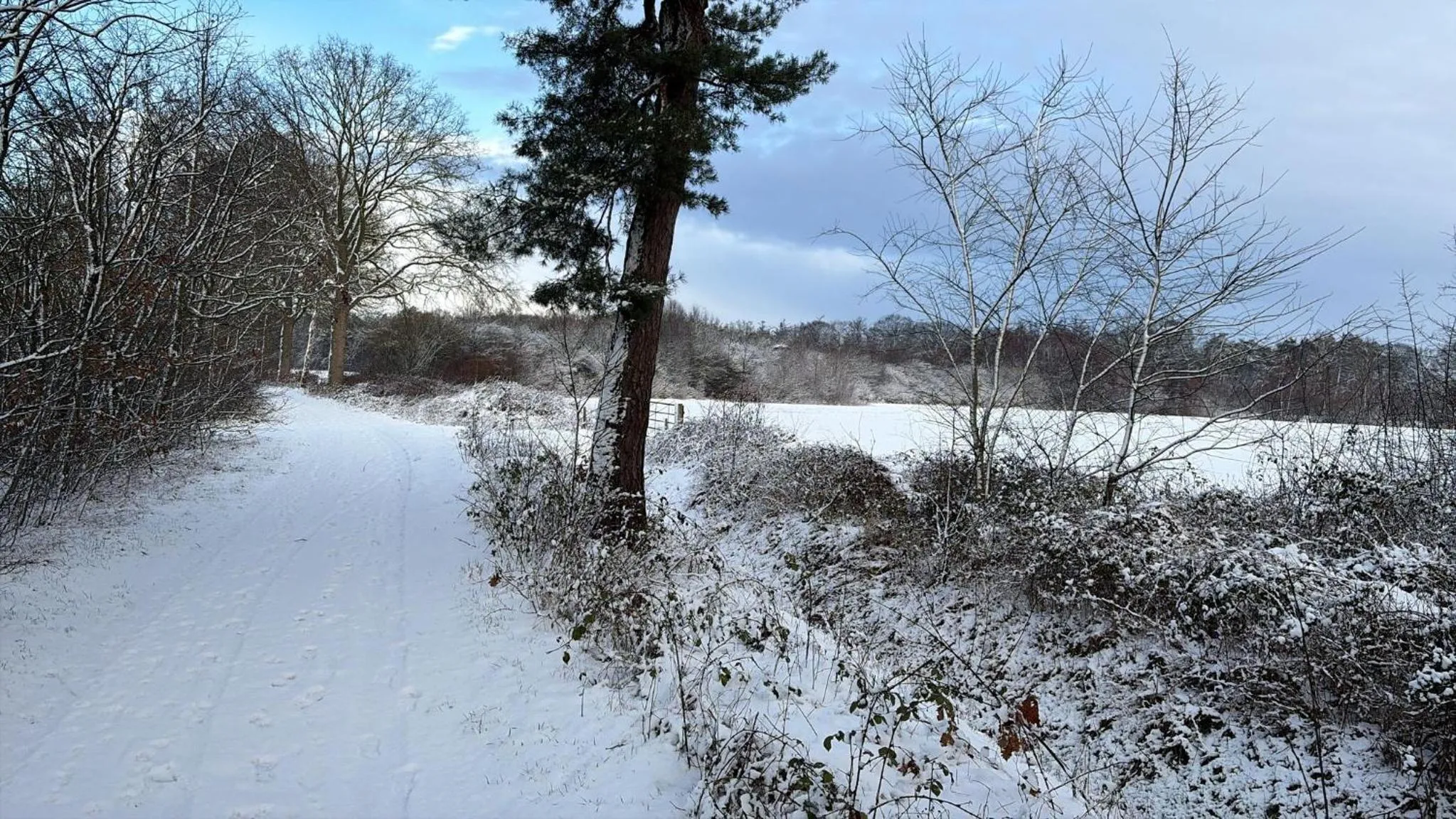 Natural landscape in B&B 't Mjeels Pierke