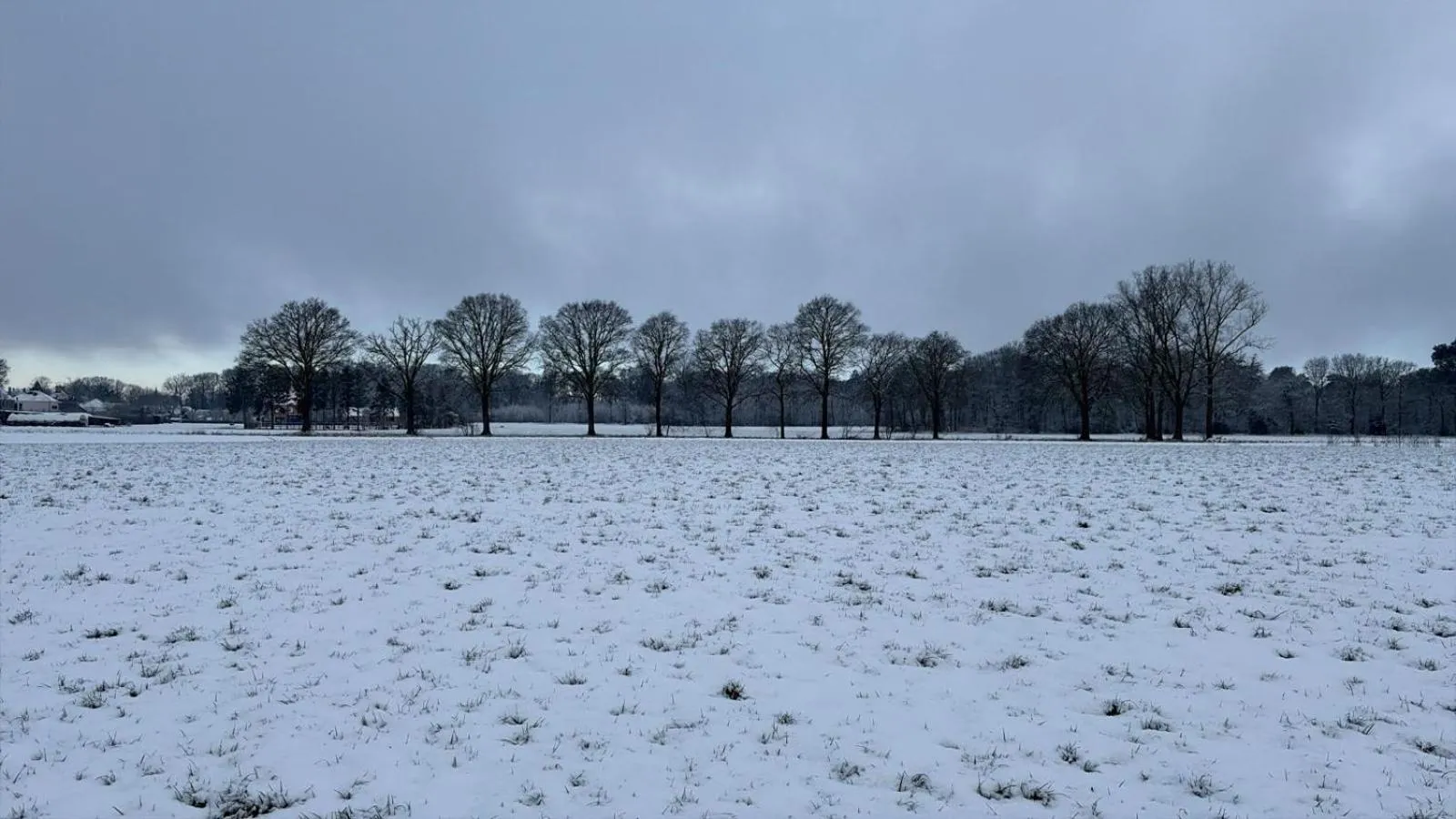 Natural landscape in B&B 't Mjeels Pierke