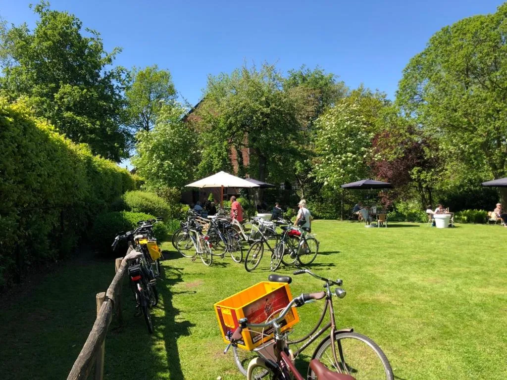 Natural landscape in B&B 't Mjeels Pierke