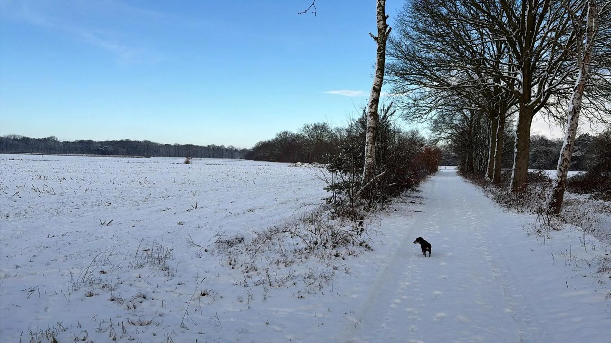 Natural landscape in B&B 't Mjeels Pierke