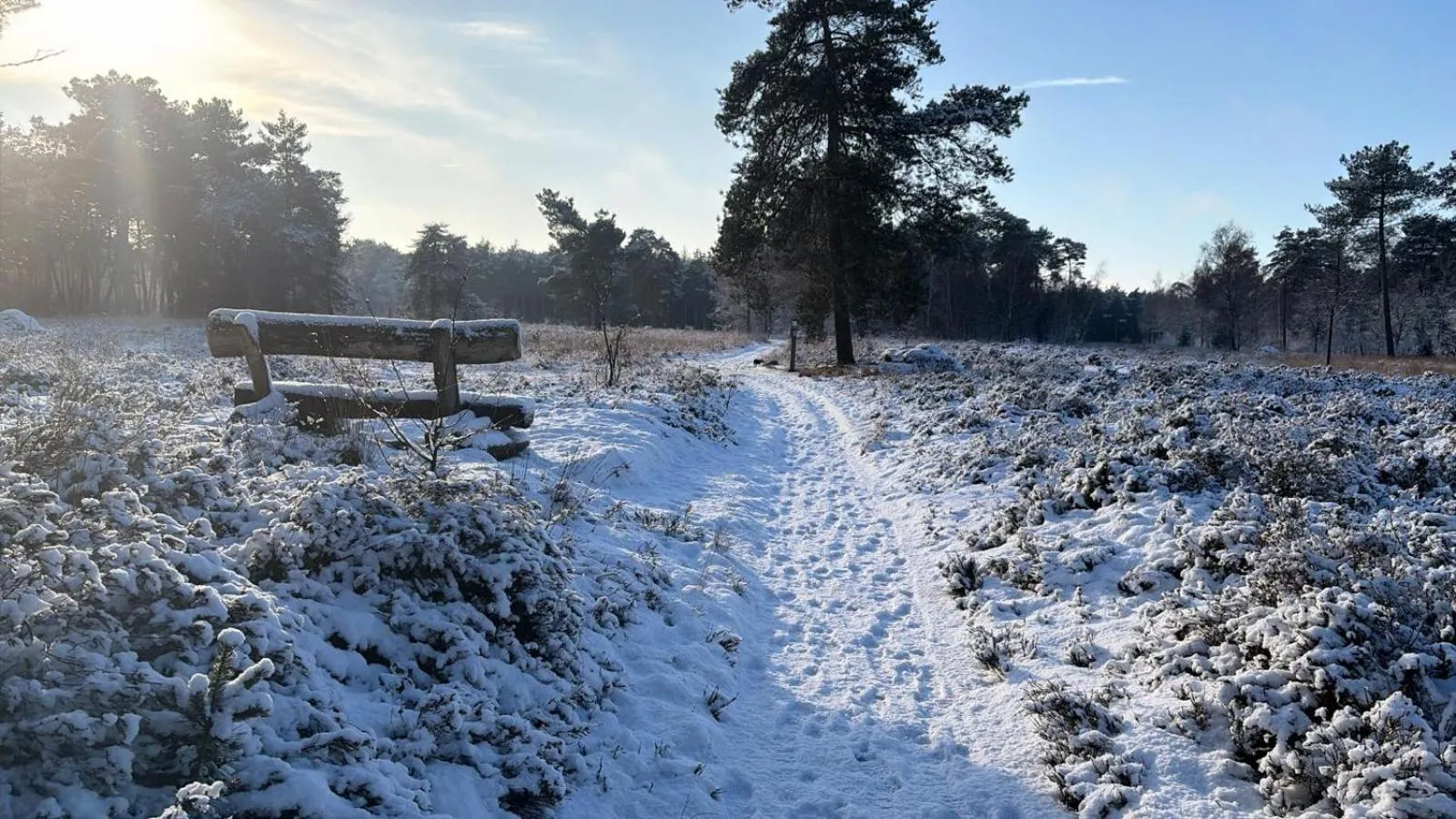 Natural landscape in B&B 't Mjeels Pierke