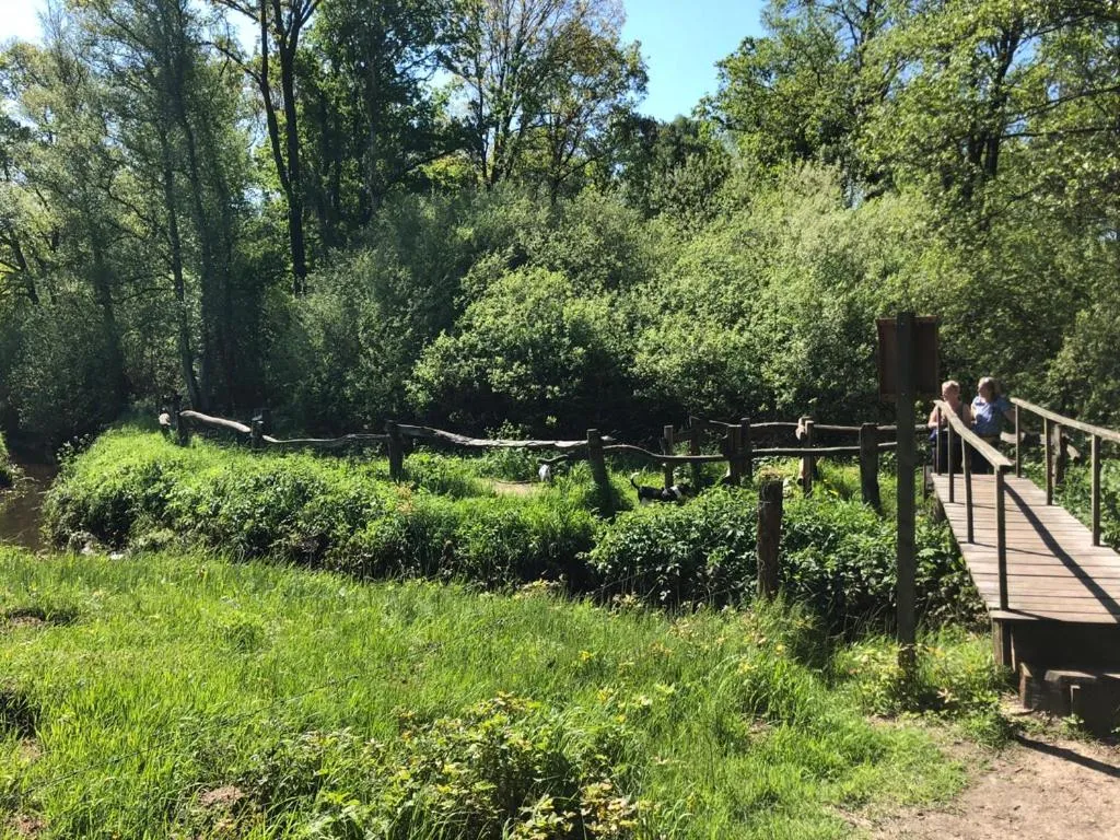 Natural landscape in B&B 't Mjeels Pierke