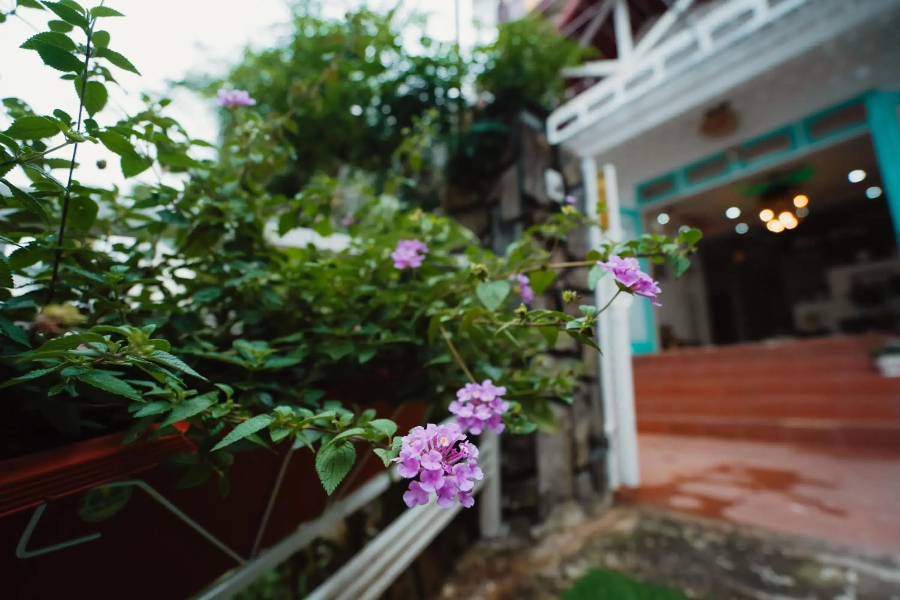 Garden view in Gia Hân Hotel Garden view in Gia Hân Hotel
