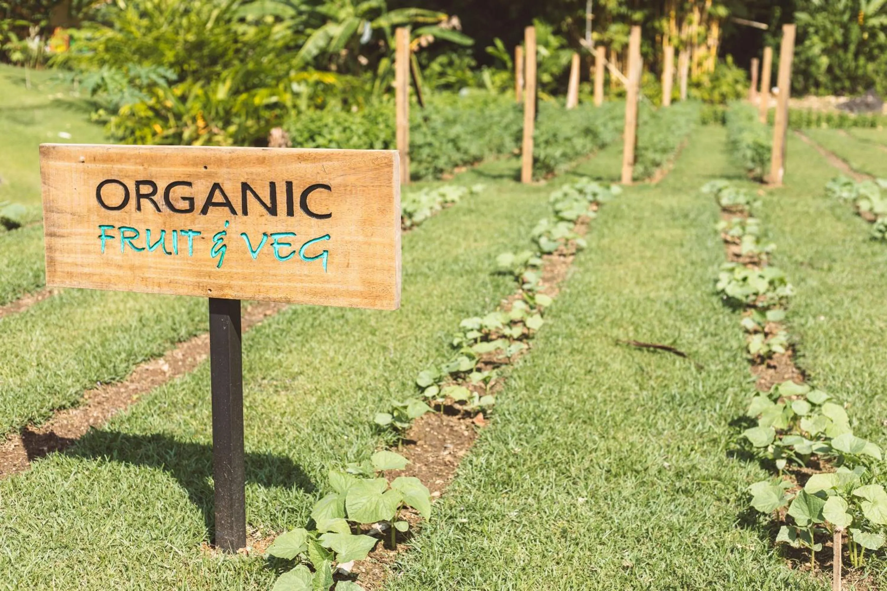 Garden in Kunken Boutique Hotel