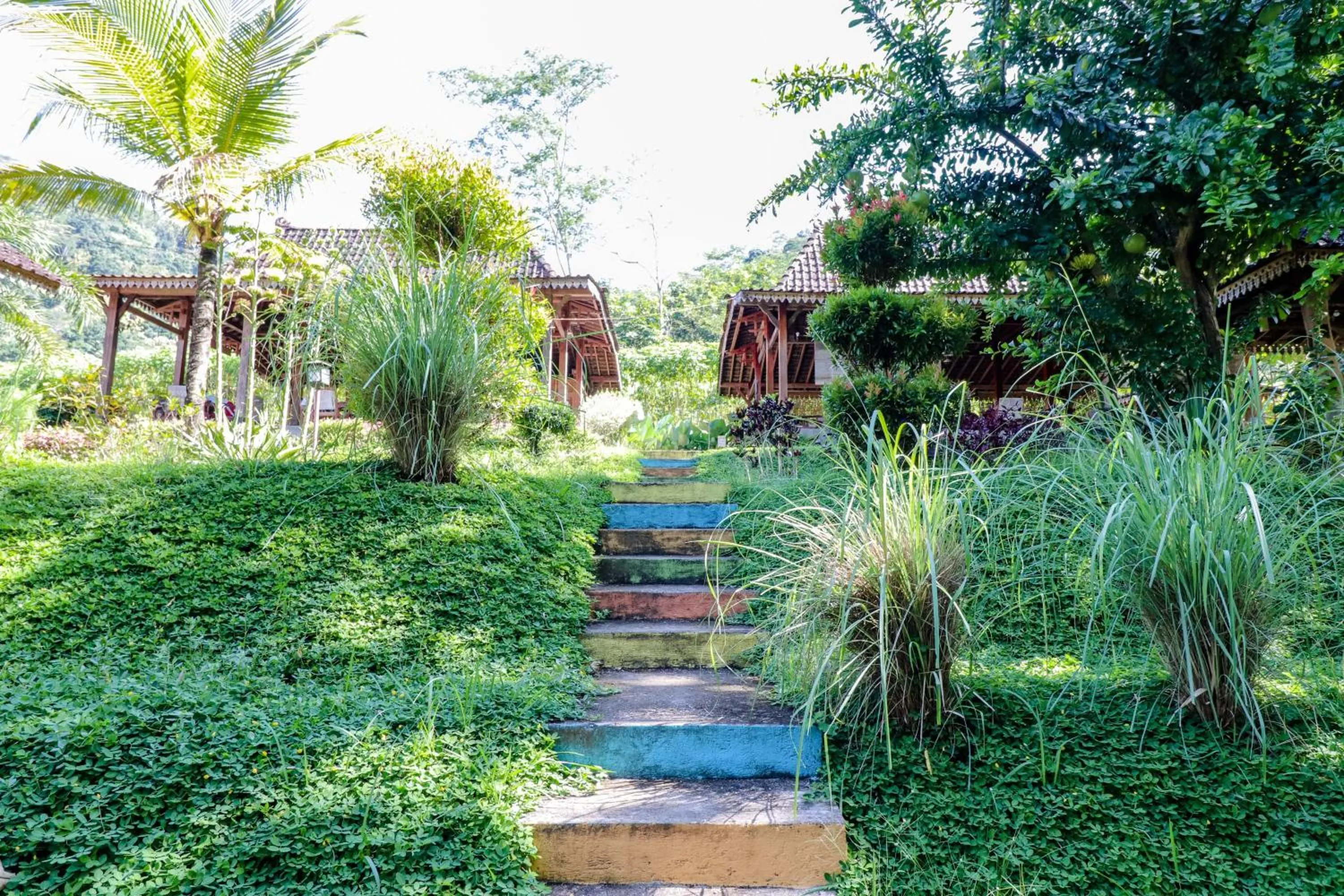 Other in Balkondes Kenalan