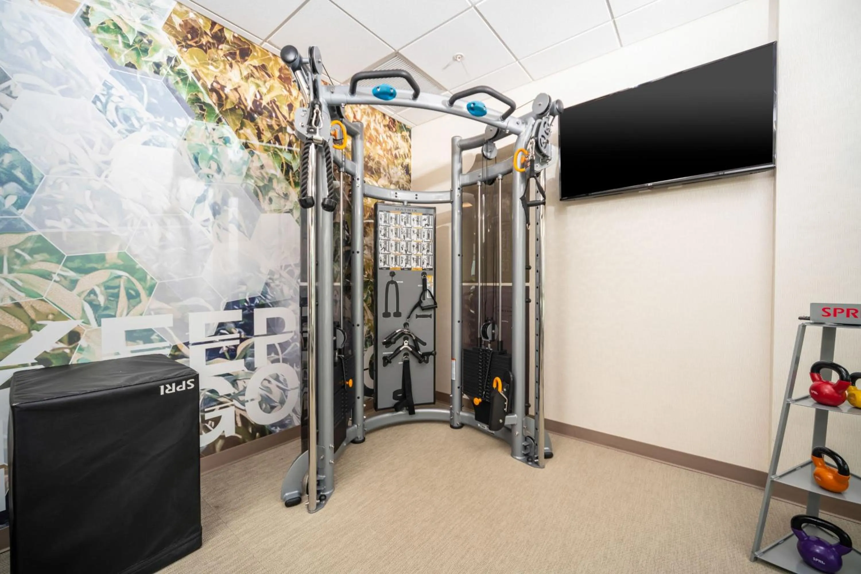 Fitness centre/facilities in SpringHill Suites by Marriott Kenosha