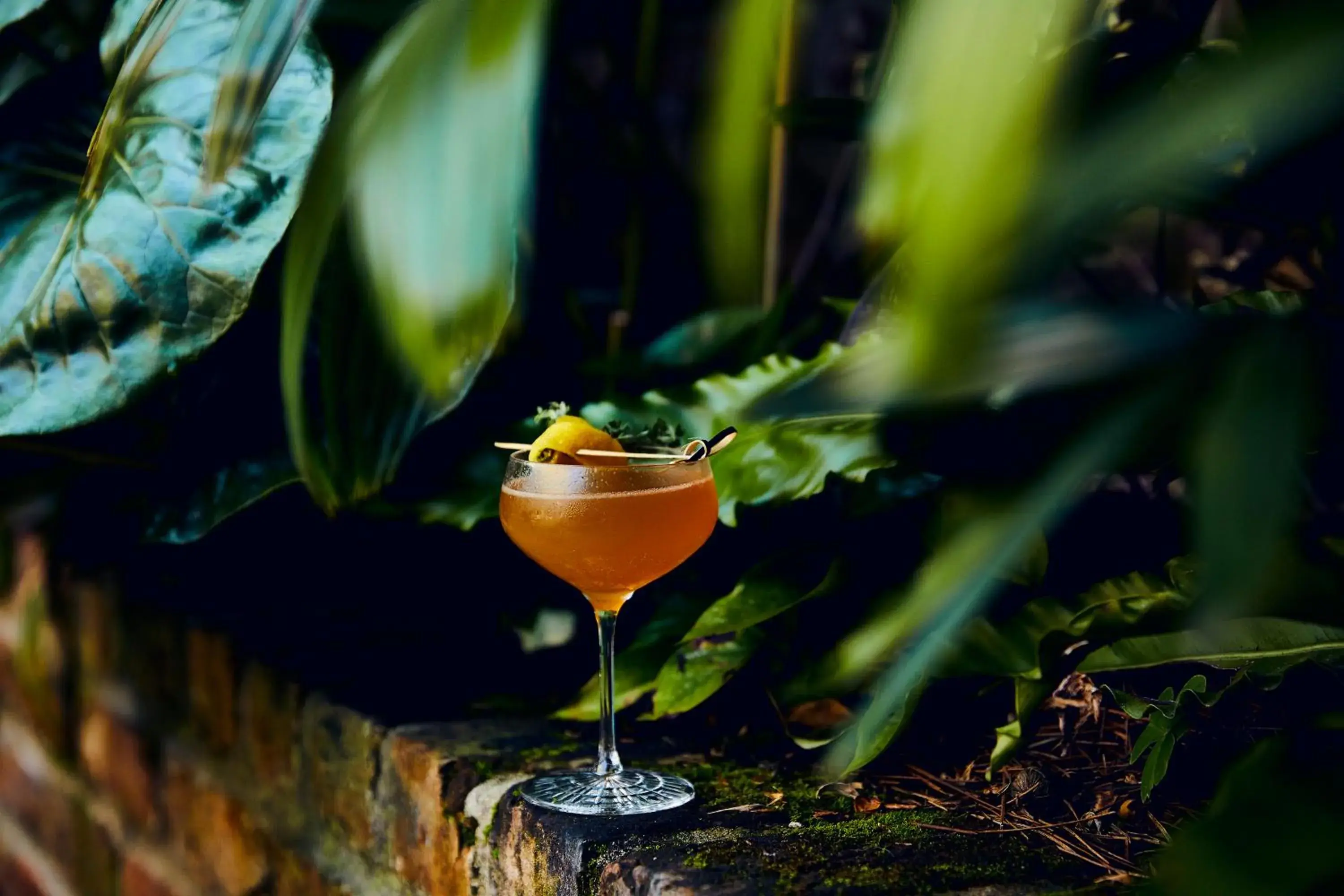 Restaurant/places to eat in Kimpton Sylvan Hotel Buckhead Atlanta Restaurant/places to eat in Kimpton Sylvan Hotel Buckhead Atlanta