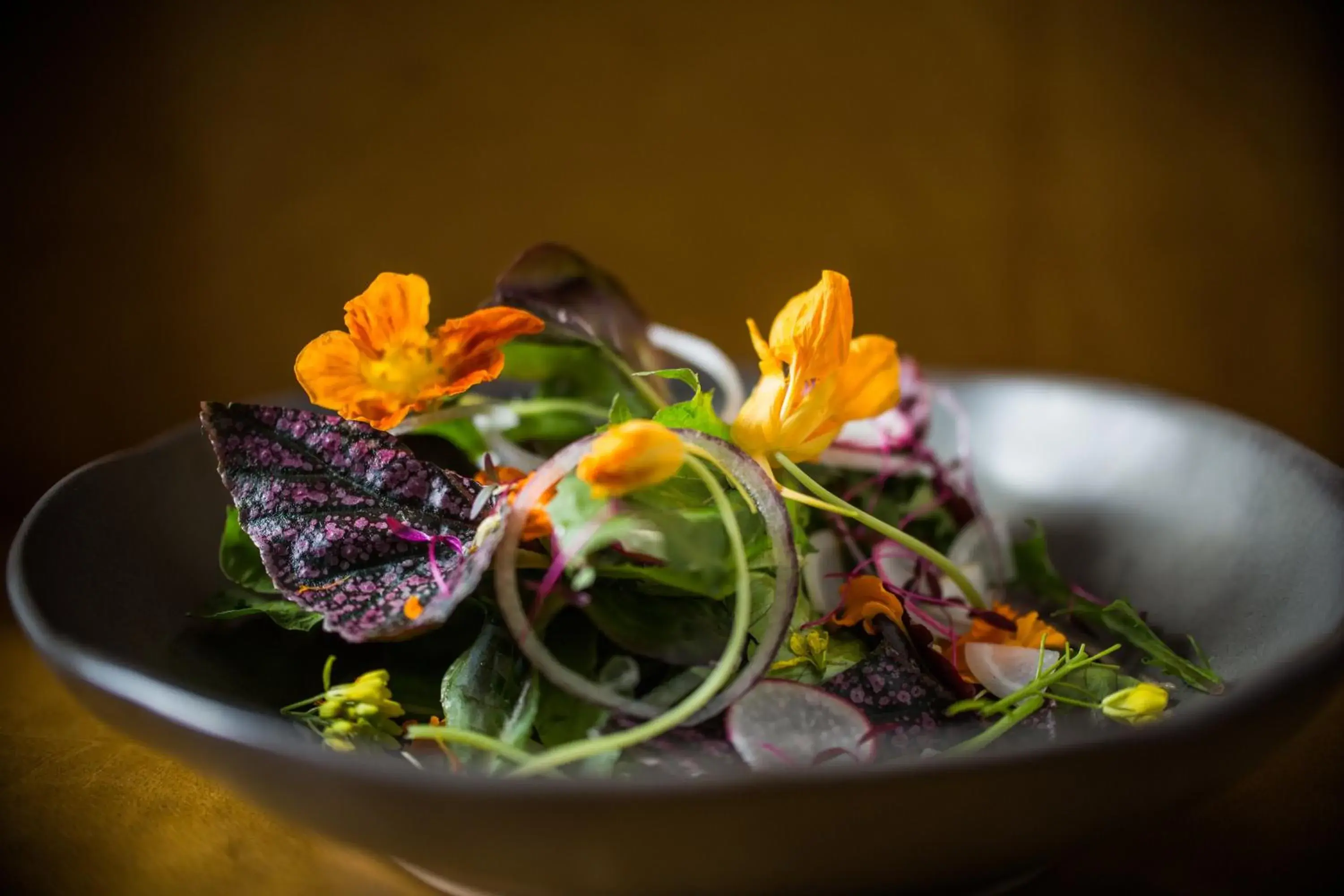 Restaurant/places to eat in Kimpton Sylvan Hotel Buckhead Atlanta Restaurant/places to eat in Kimpton Sylvan Hotel Buckhead Atlanta