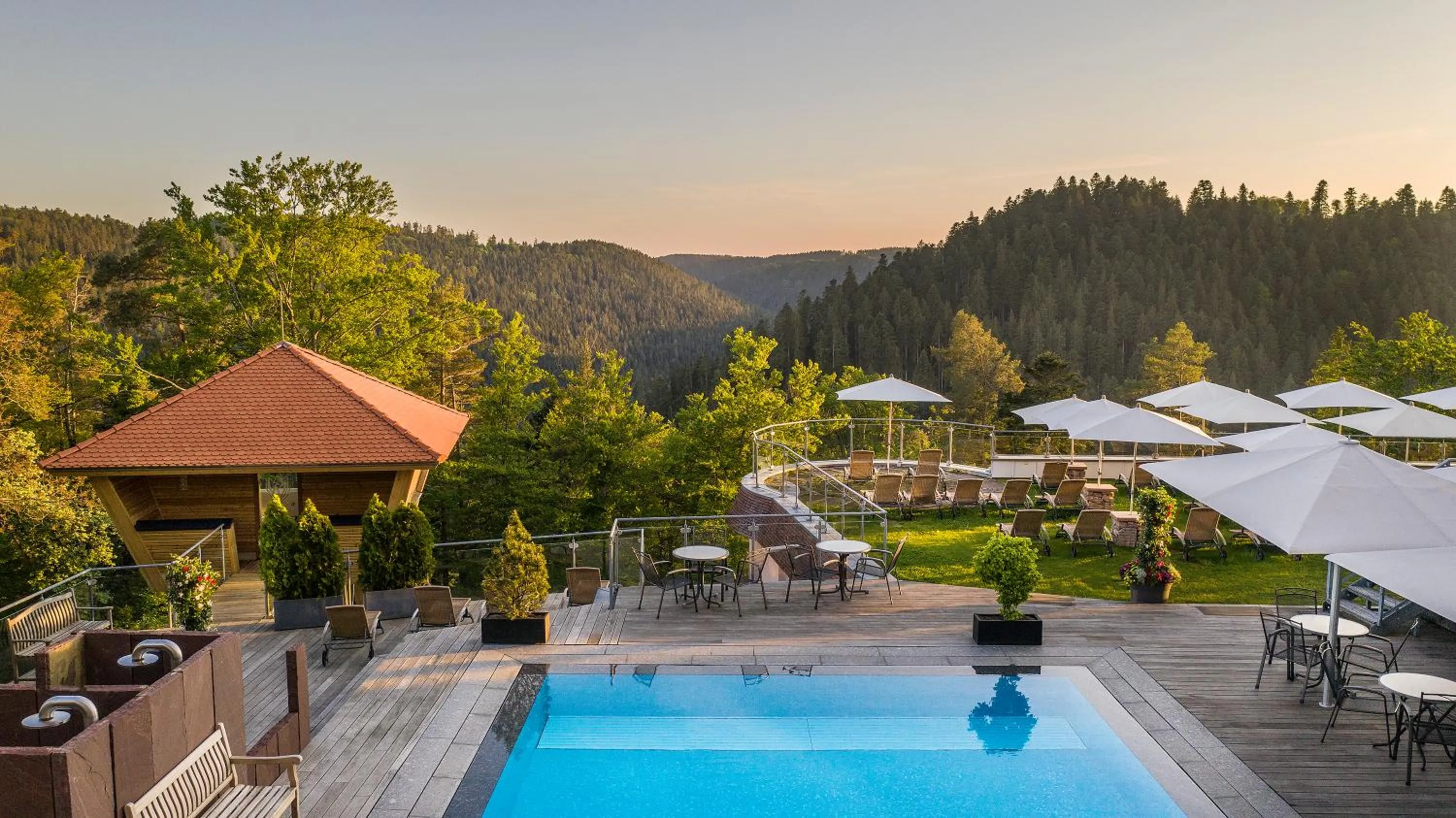Pool view in Hotel Kronelamm im Schwarzwald