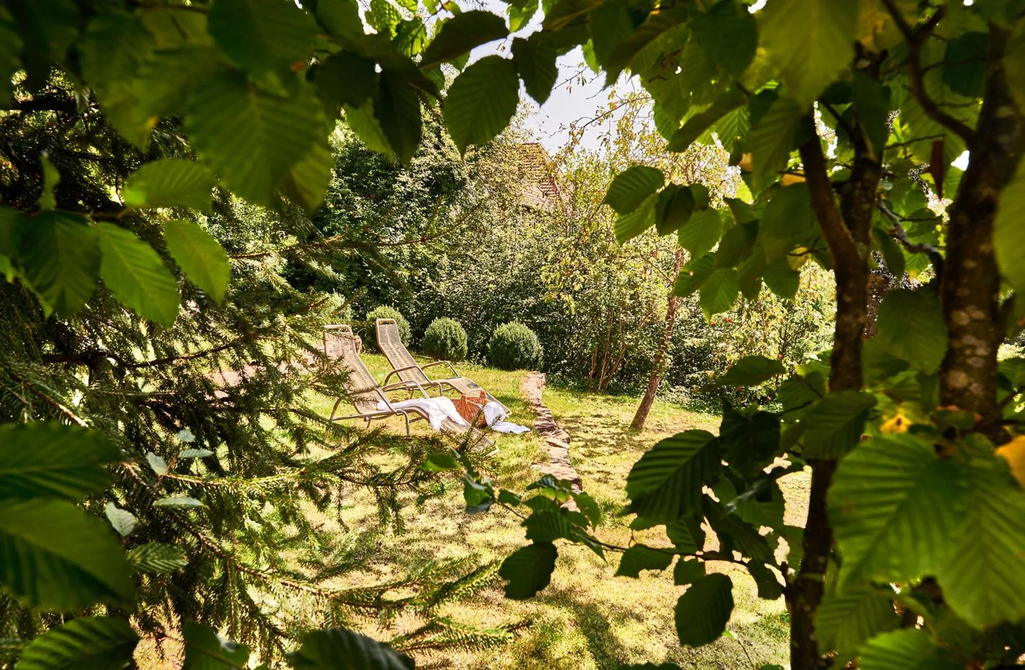 Garden in Hotel Kronelamm im Schwarzwald