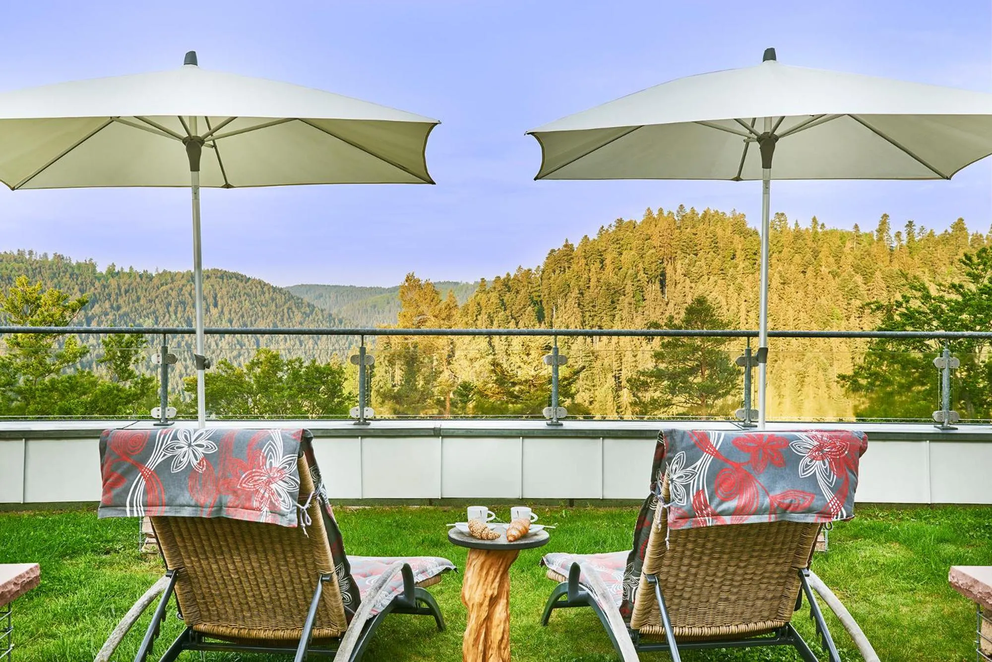 Garden in Hotel Kronelamm im Schwarzwald