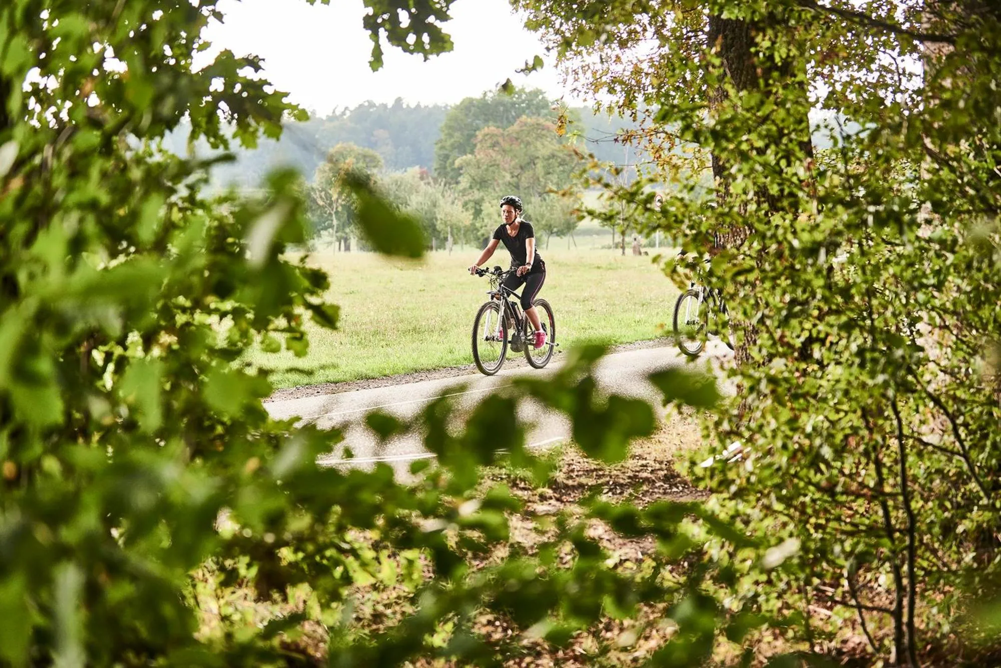 Activities in Hotel Kronelamm im Schwarzwald