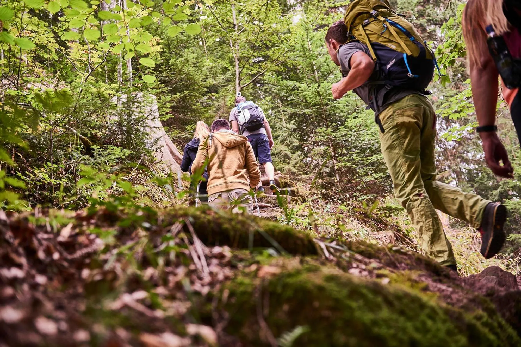 Activities in Hotel Kronelamm im Schwarzwald