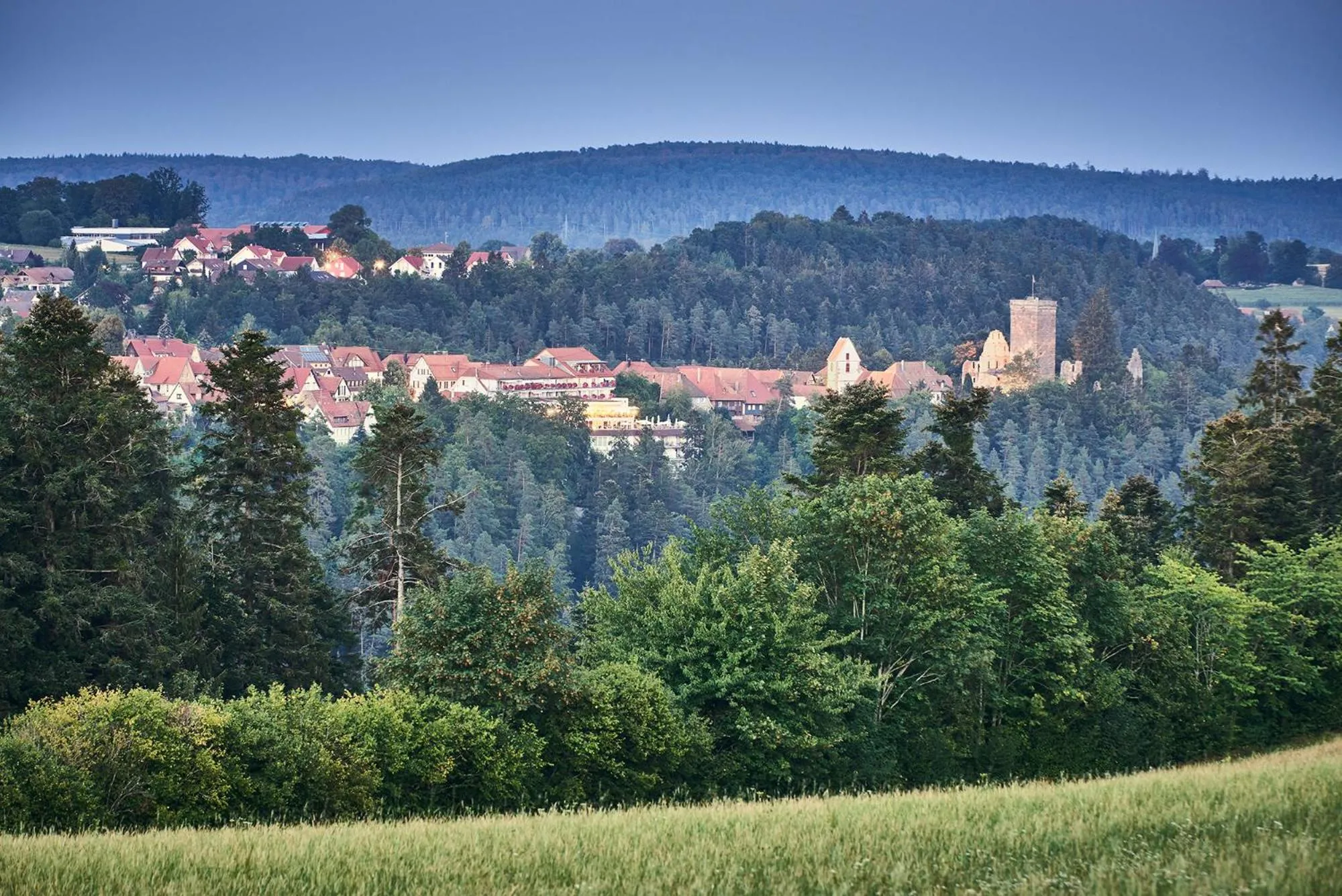 Property building in Hotel Kronelamm im Schwarzwald