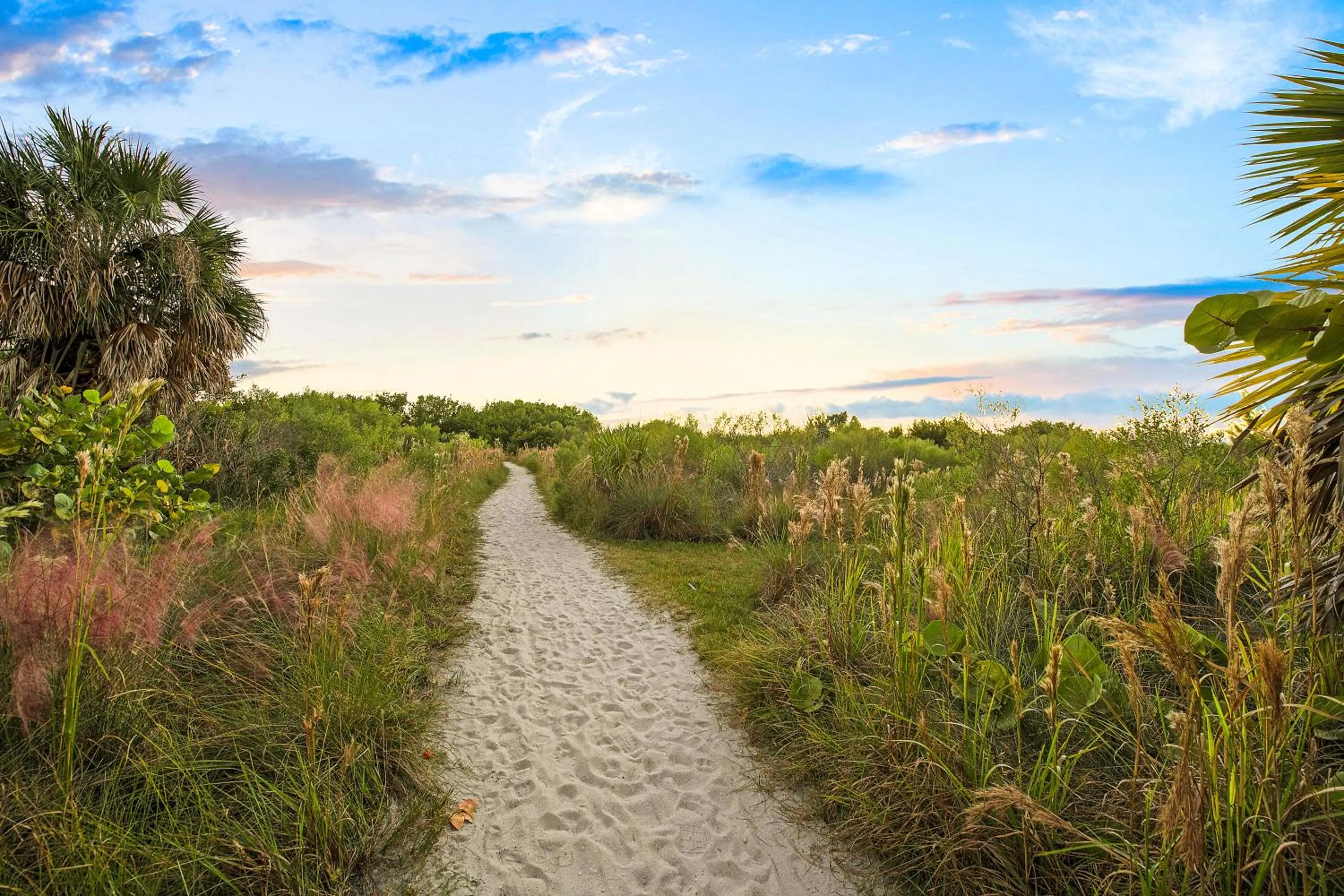 Natural landscape in The Plaza