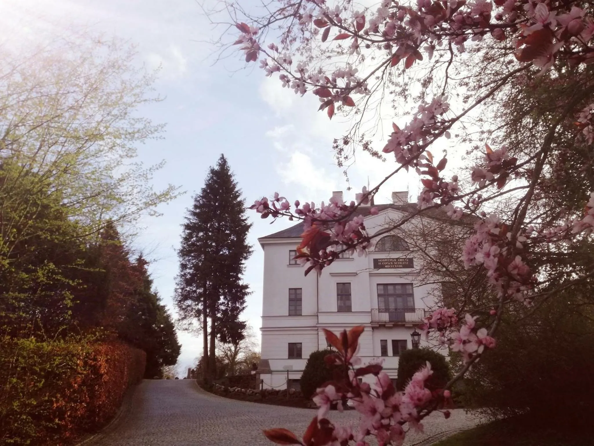 Property building in Schlosshotel Burg Schlitz