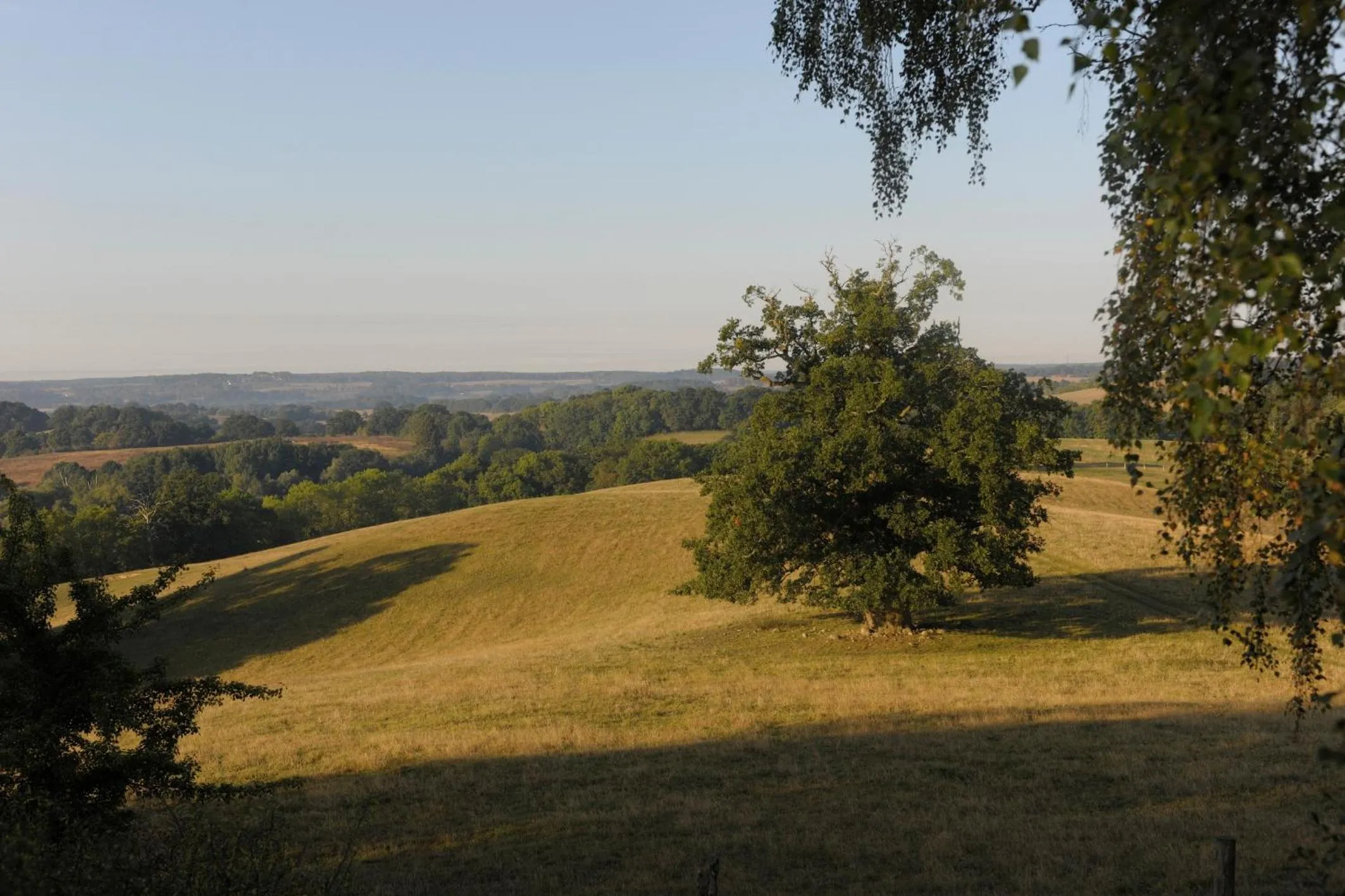 Schlosshotel Burg Schlitz