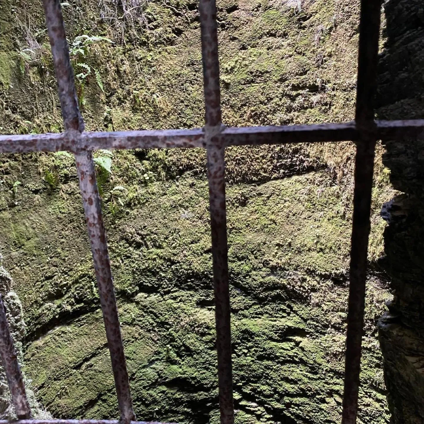 Le Château de Cambiaire