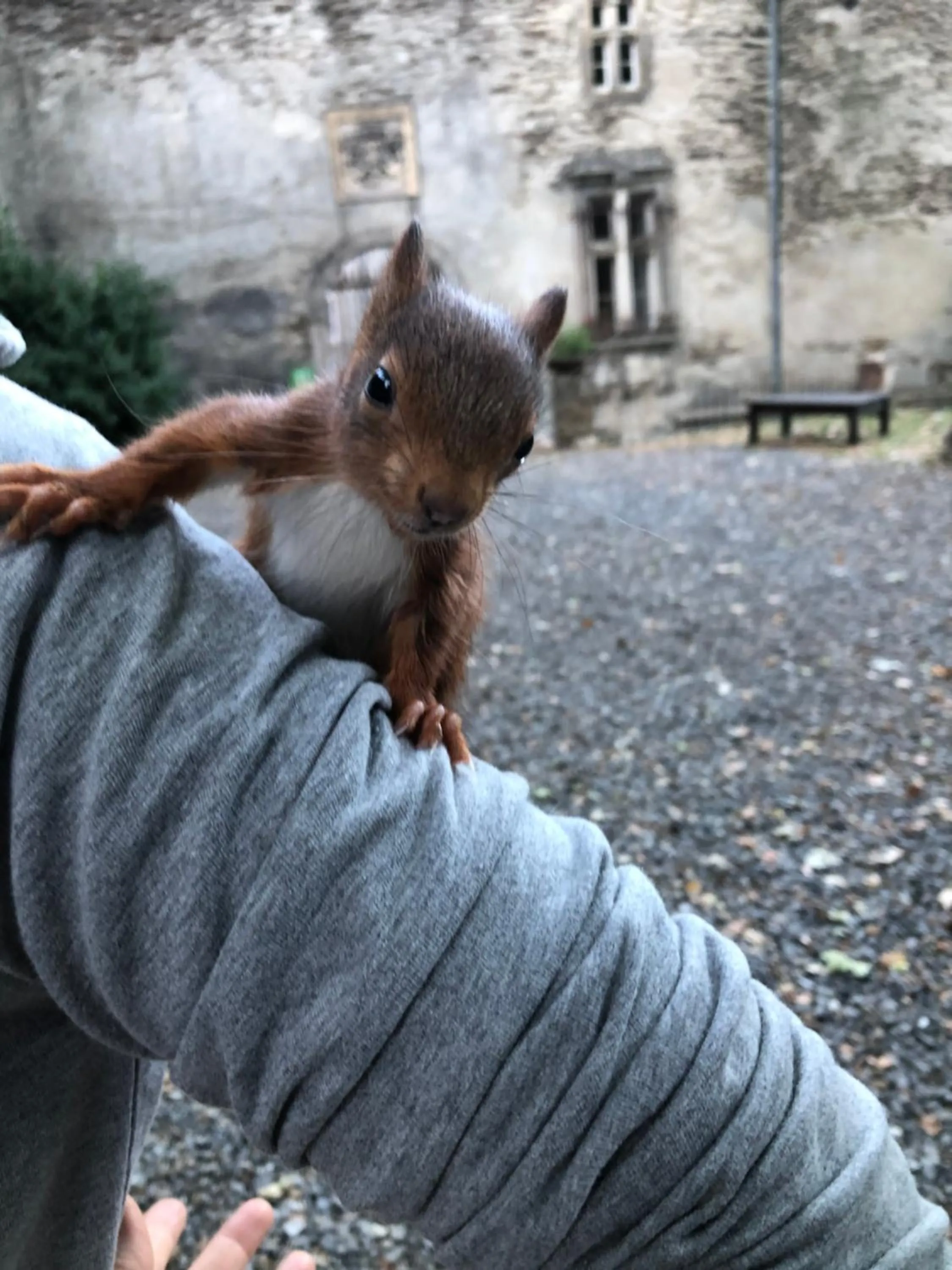 Le Château de Cambiaire