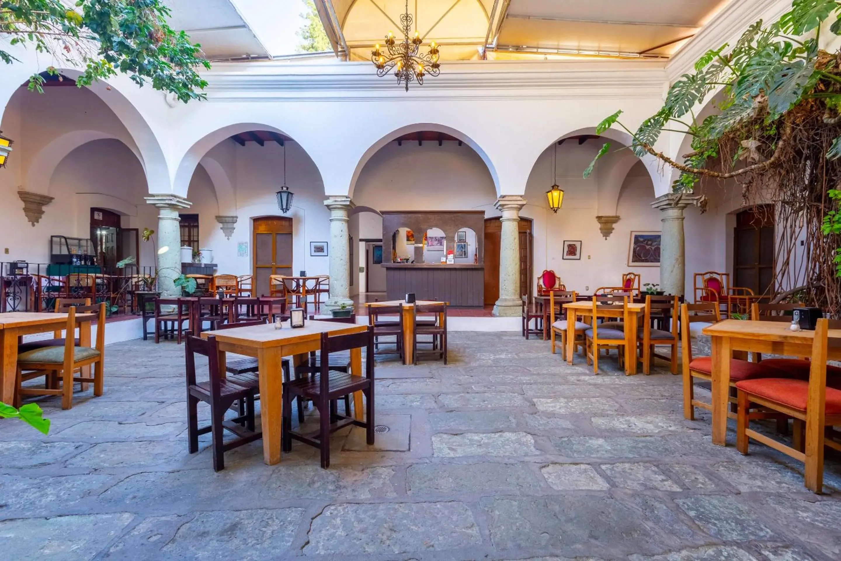 Restaurant/places to eat in Capital O Posada La Casa De La Tia, Oaxaca Restaurant/places to eat in Capital O Posada La Casa De La Tia, Oaxaca