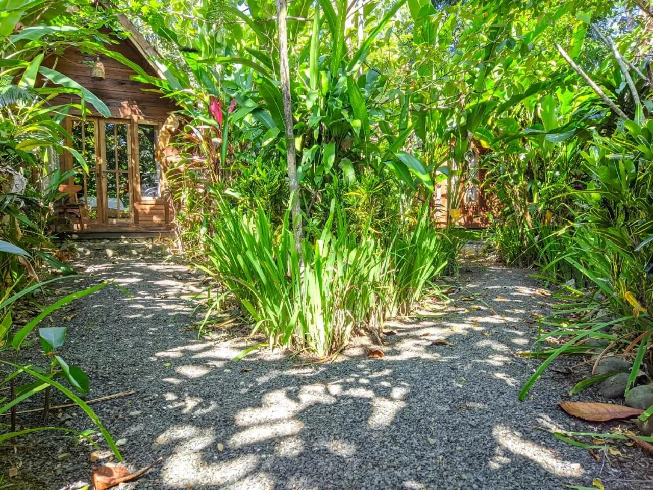 Garden in Coconut Tree Cottages