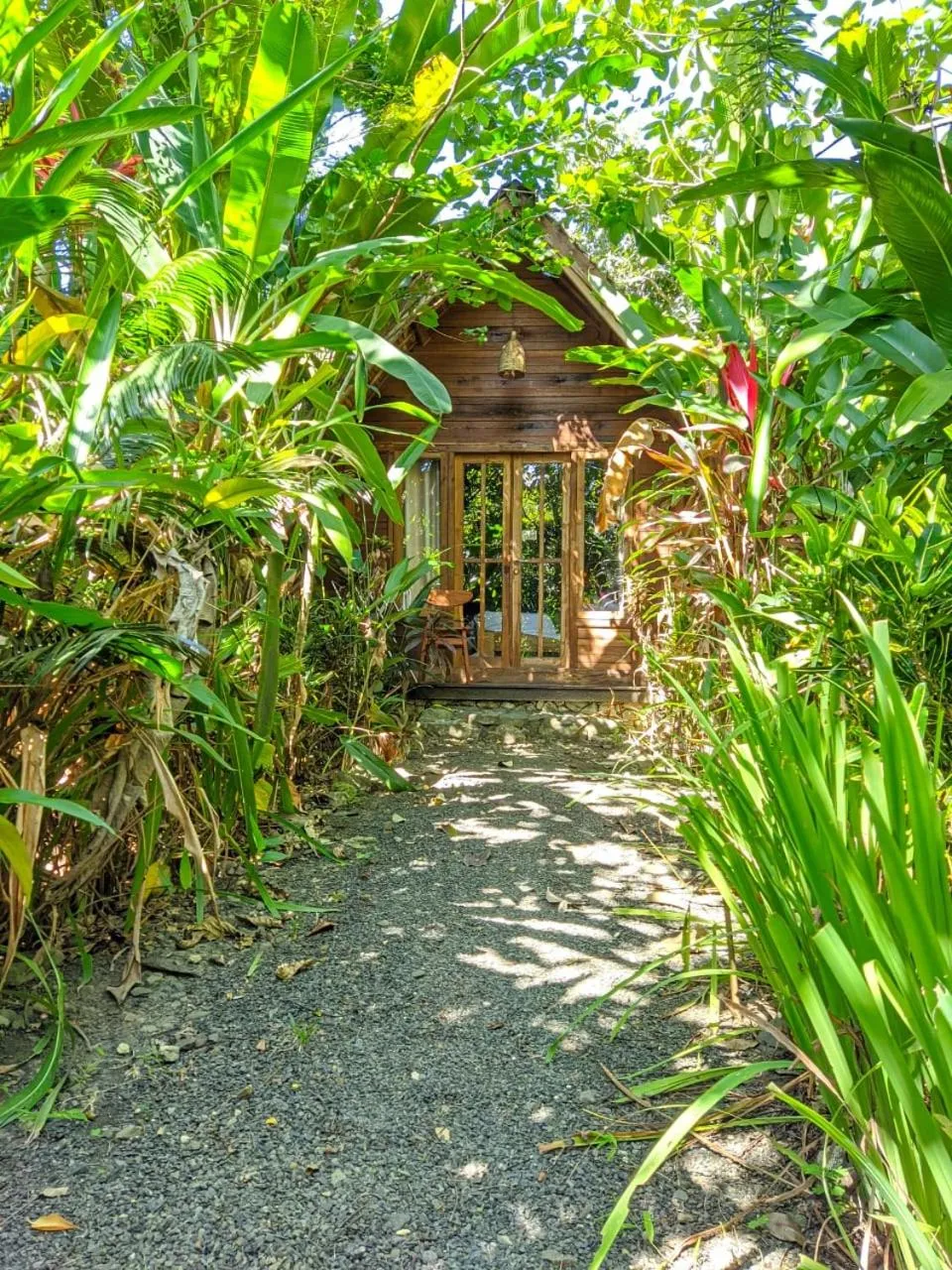 Garden view in Coconut Tree Cottages