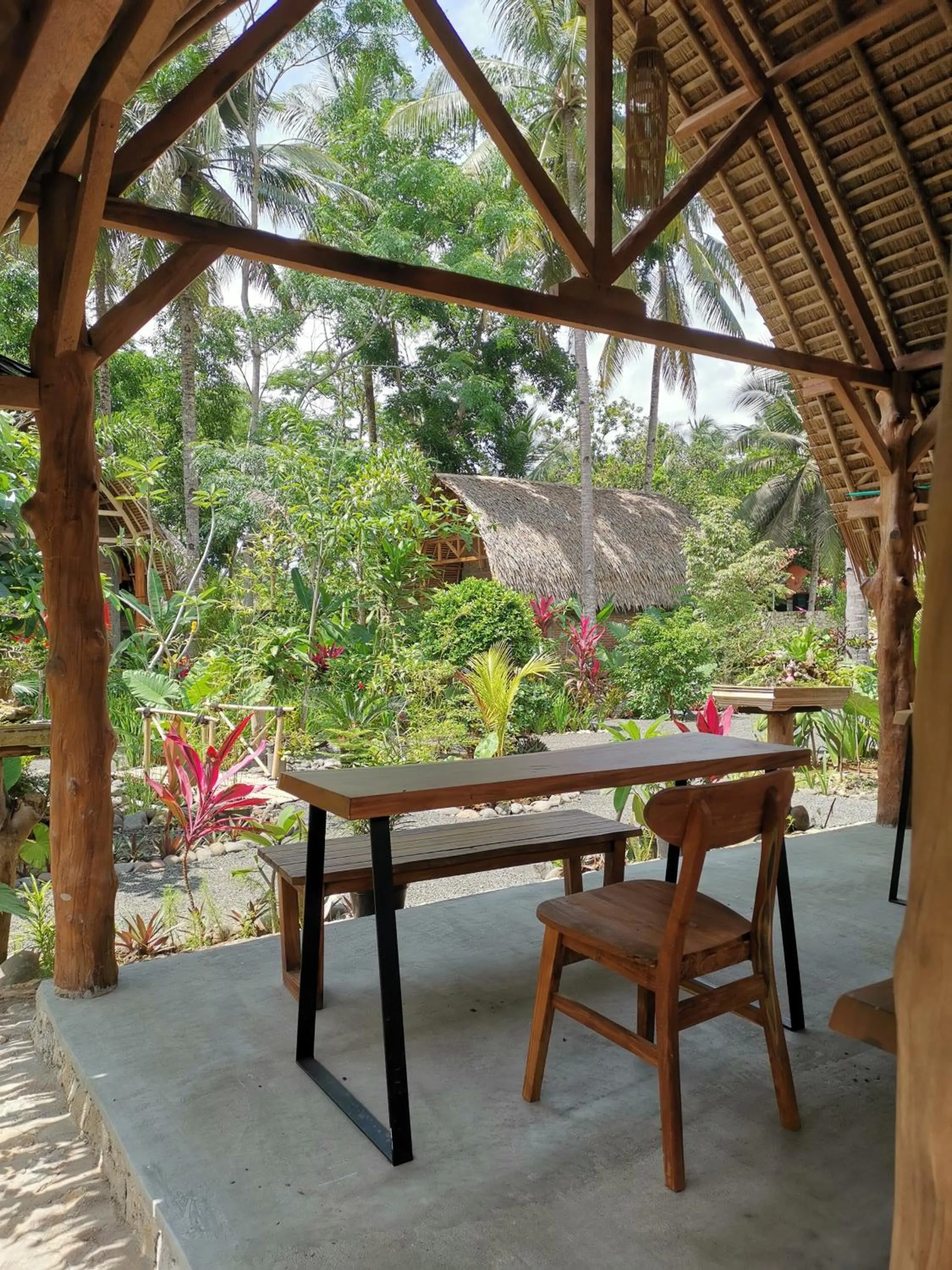 Garden in Coconut Tree Cottages