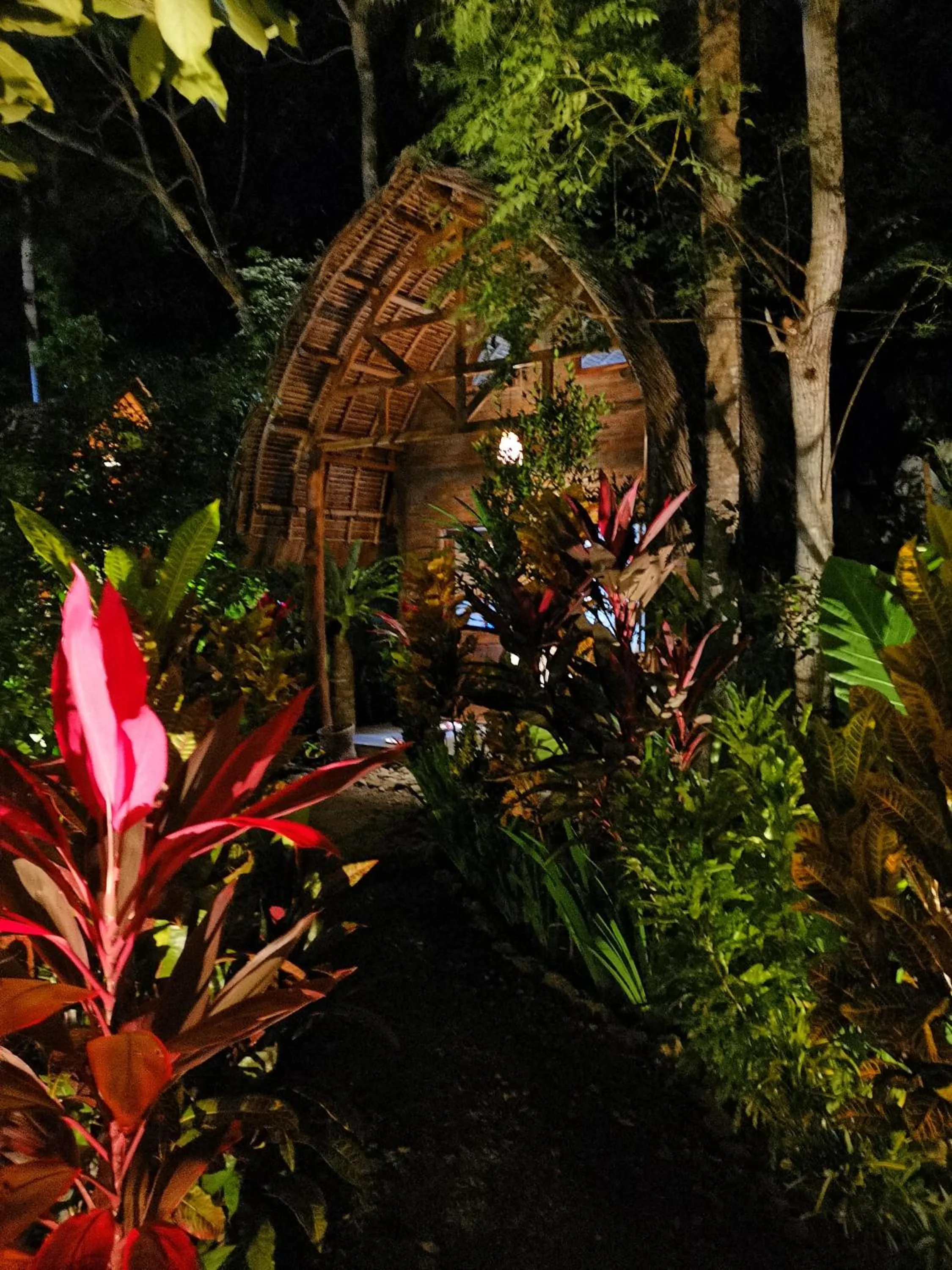 Coconut Tree Cottages