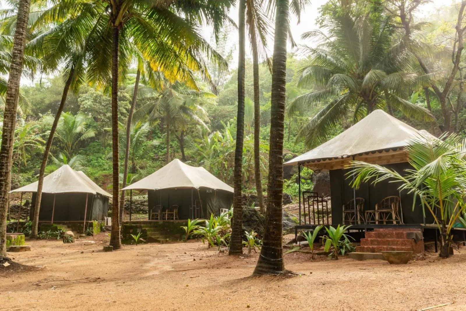 Garden view in Soneca Cola