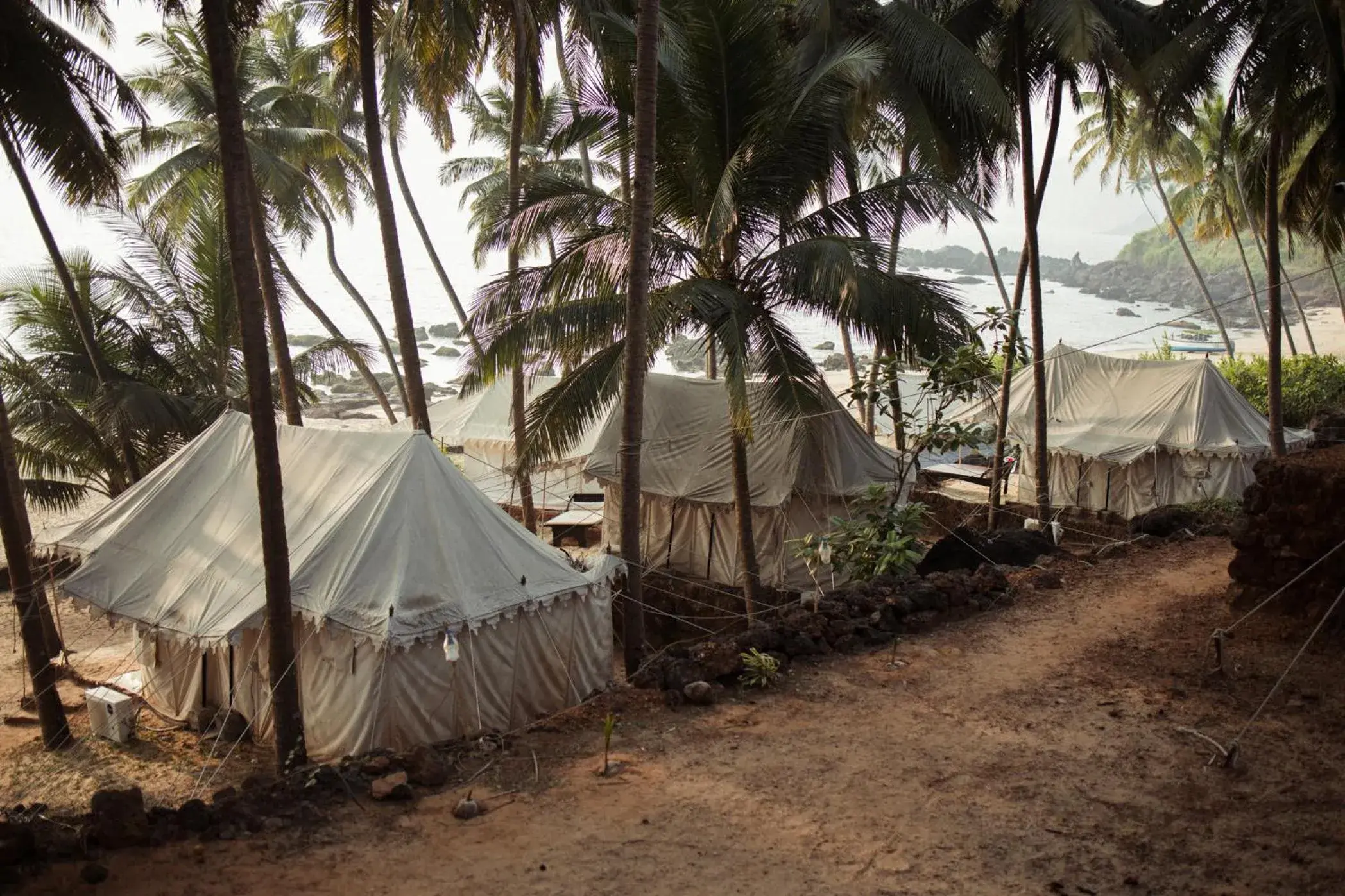 Day in Soneca Cola Day in Soneca Cola