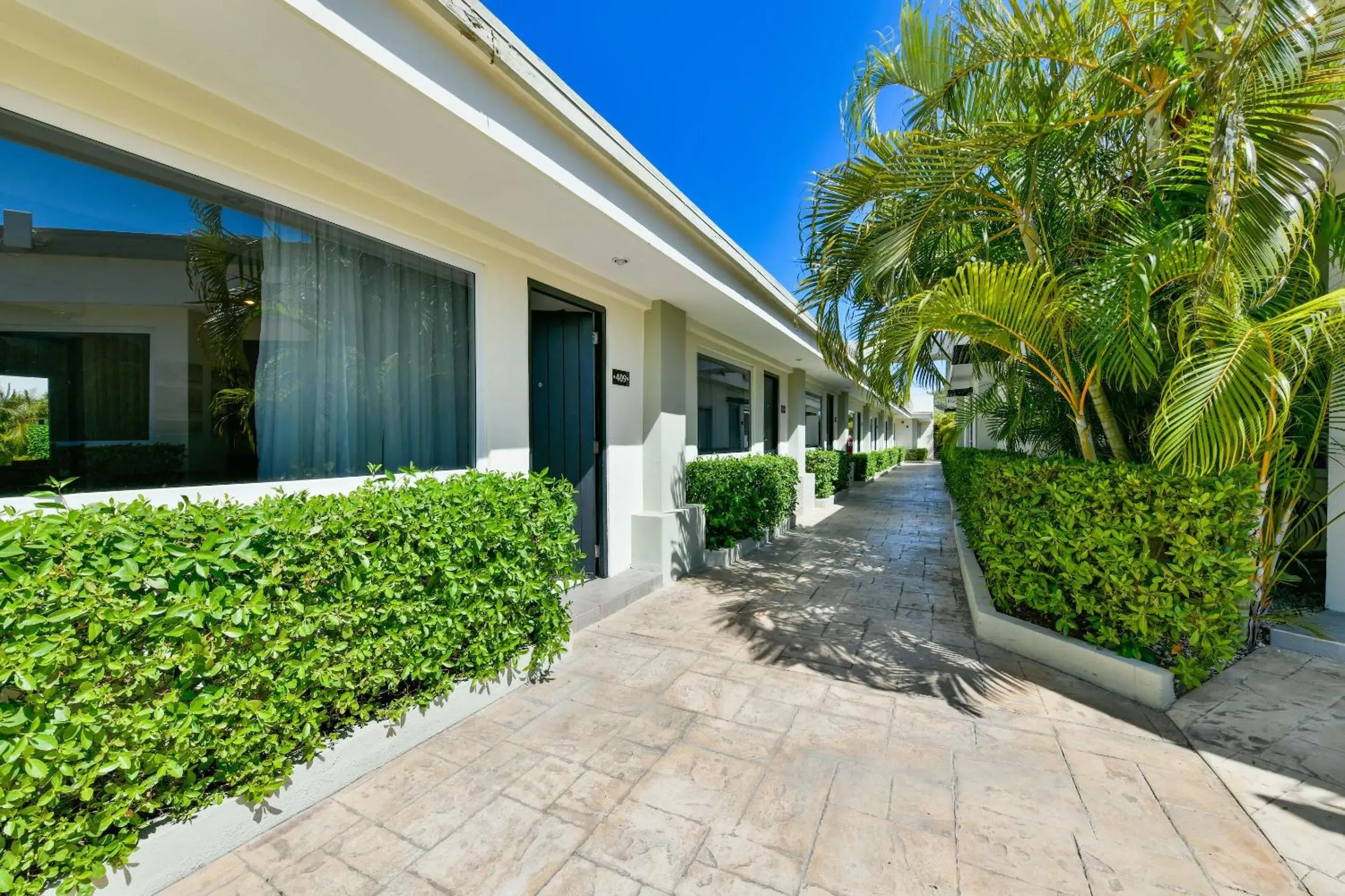 Garden view in Talk of the Town Beach Hotel & Beach Club by GH Hoteles Garden view in Talk of the Town Beach Hotel & Beach Club by GH Hoteles