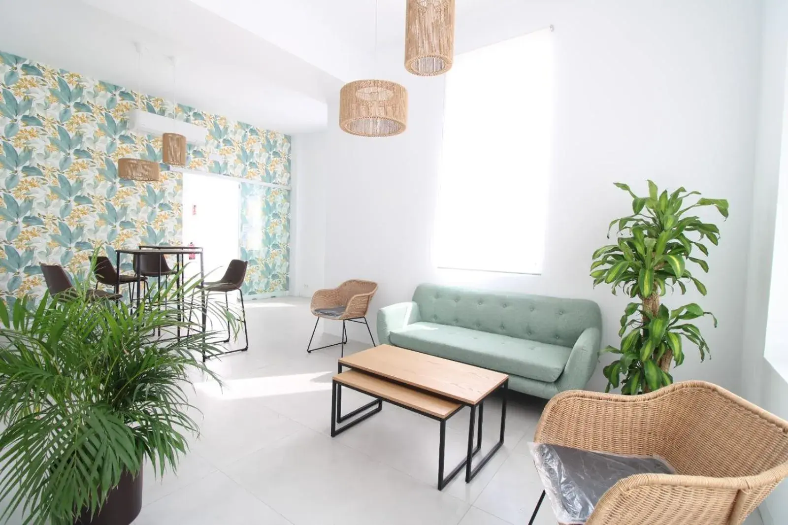Hostal Tropical Hostal Tropical