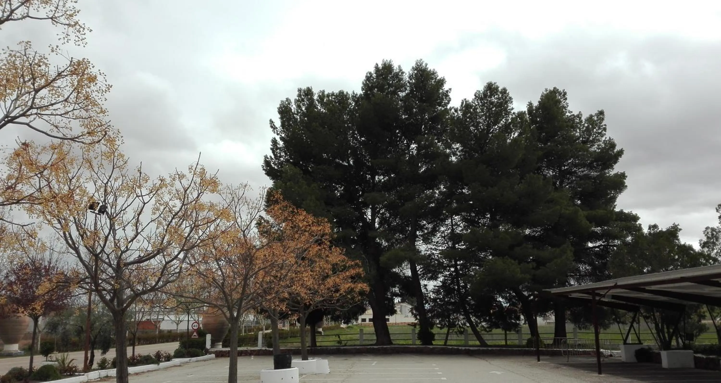 Area and facilities in Hotel El Puerto