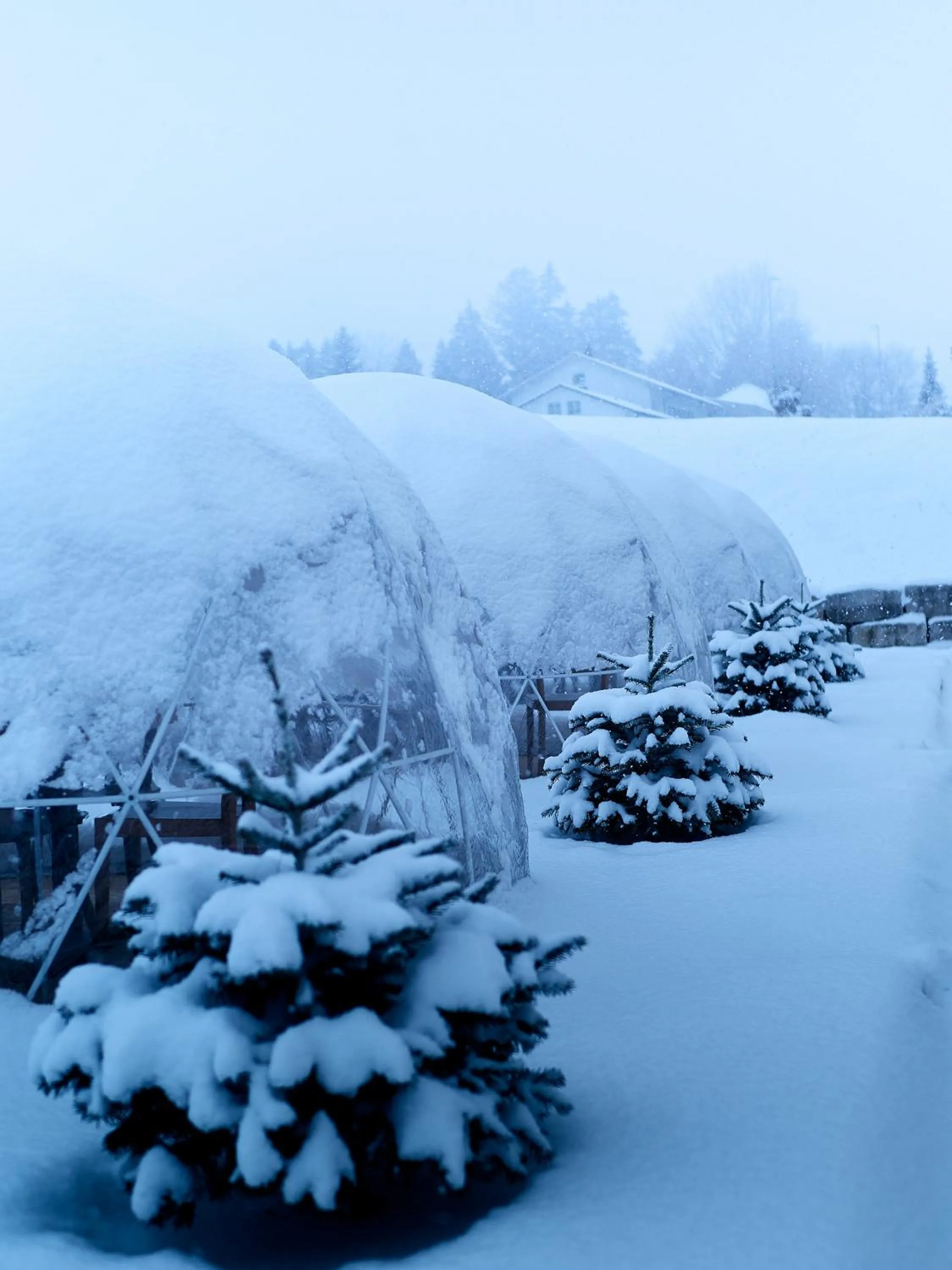 Balcony/Terrace in Auberge de Bellelay Restaurant Chez Aron Balde