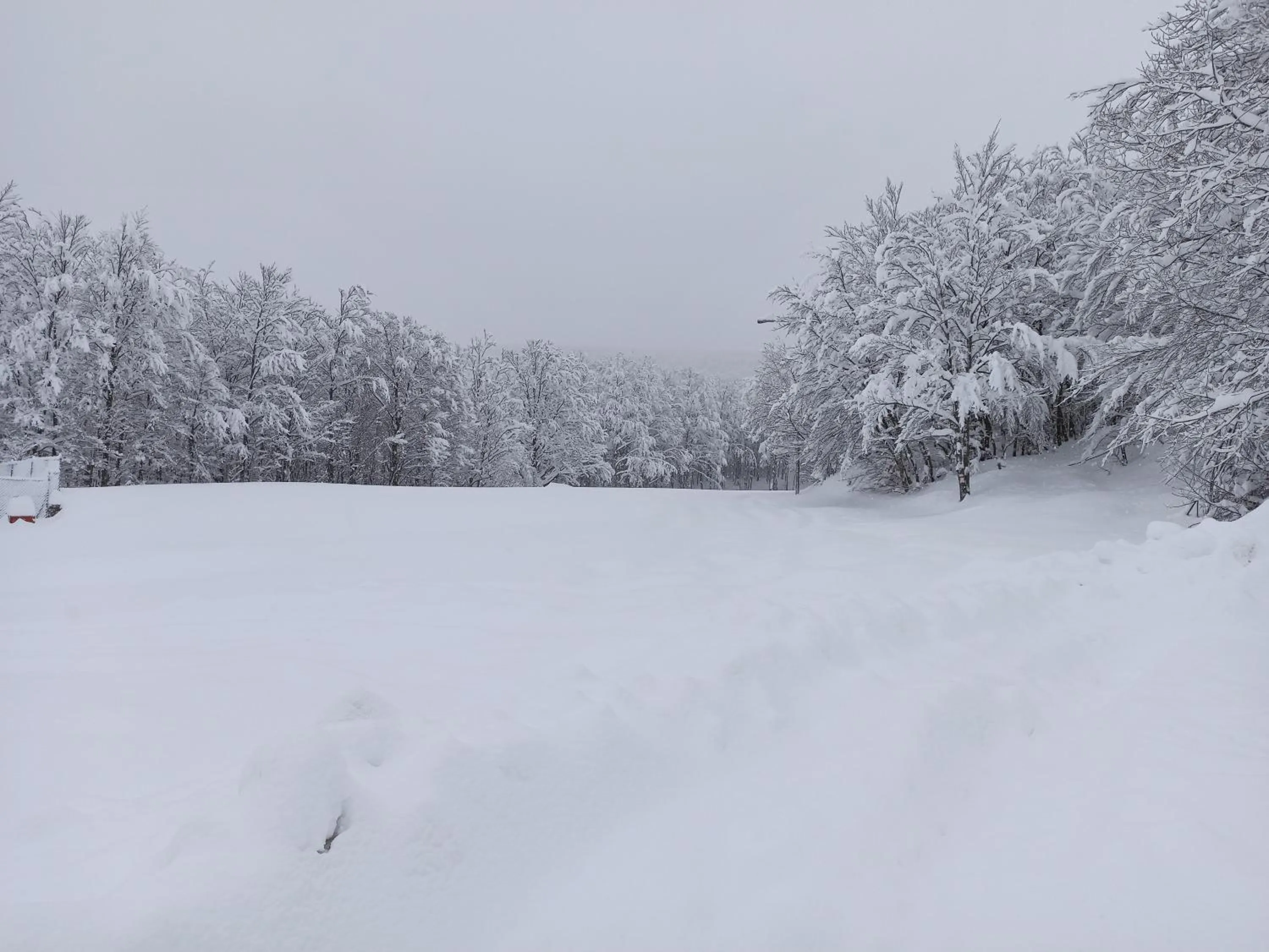 Winter in Residence le Polle