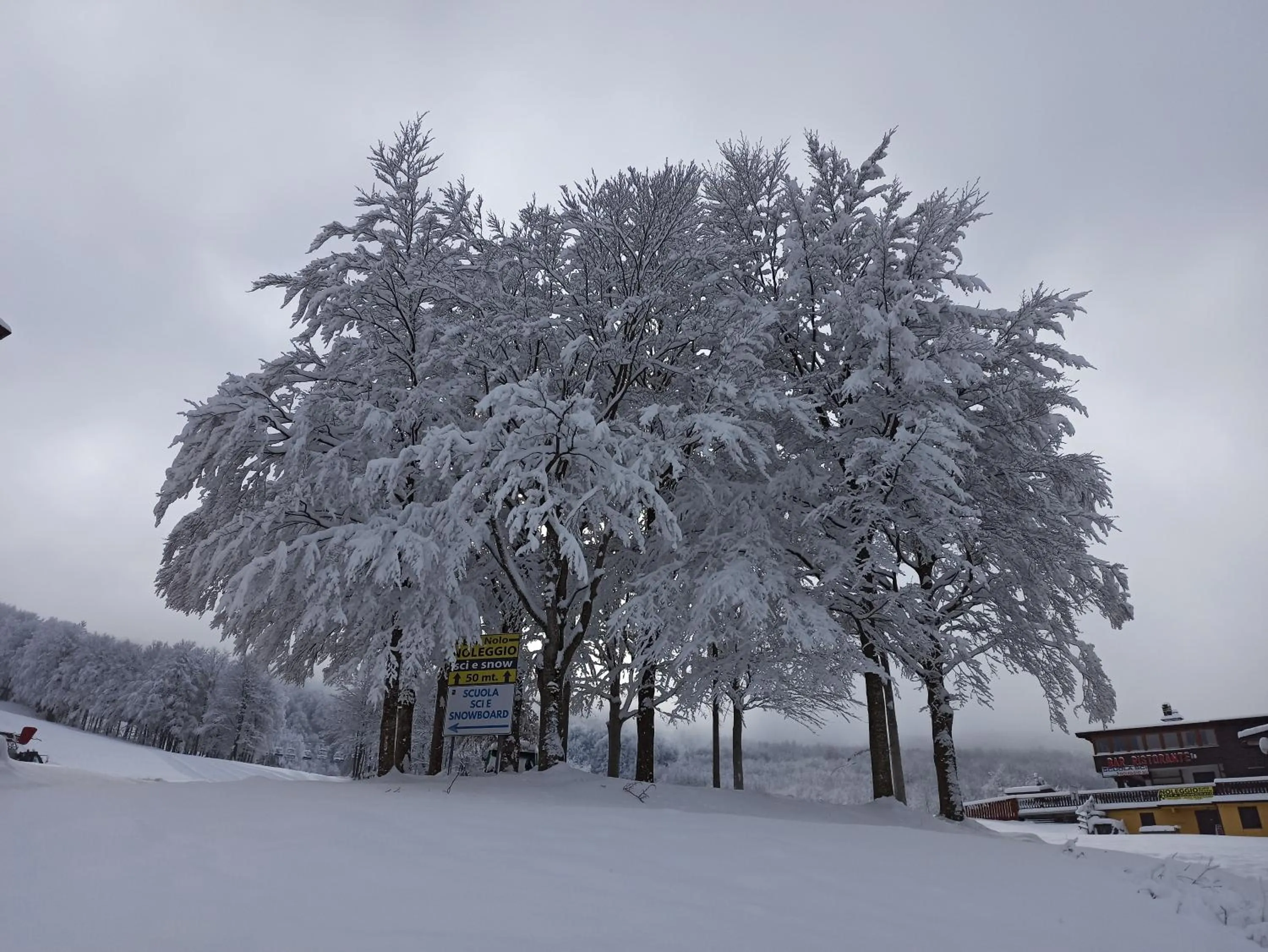 Winter in Residence le Polle