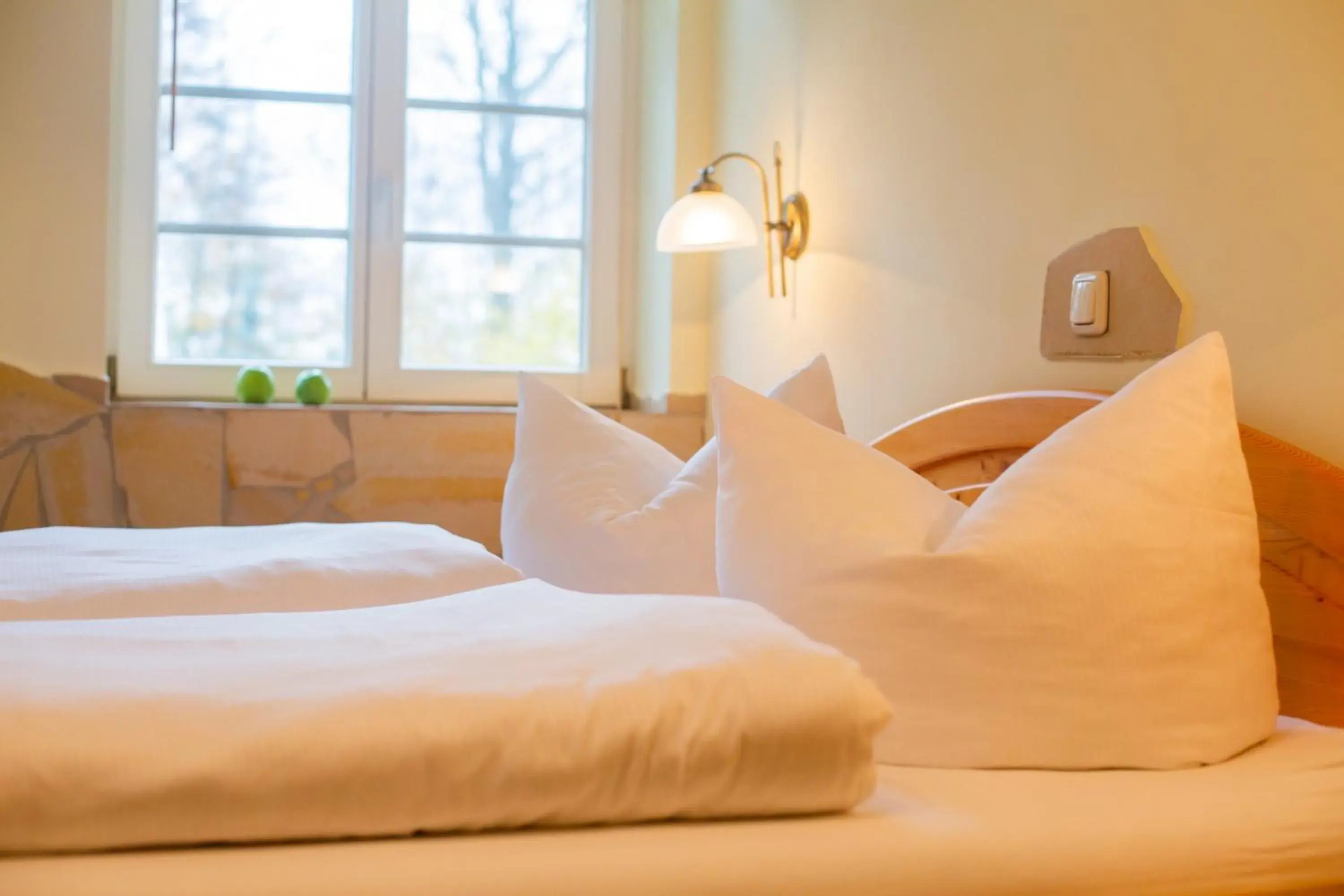 Double Room - single occupancy in Gasthof Ungerberg Double Room - single occupancy in Gasthof Ungerberg