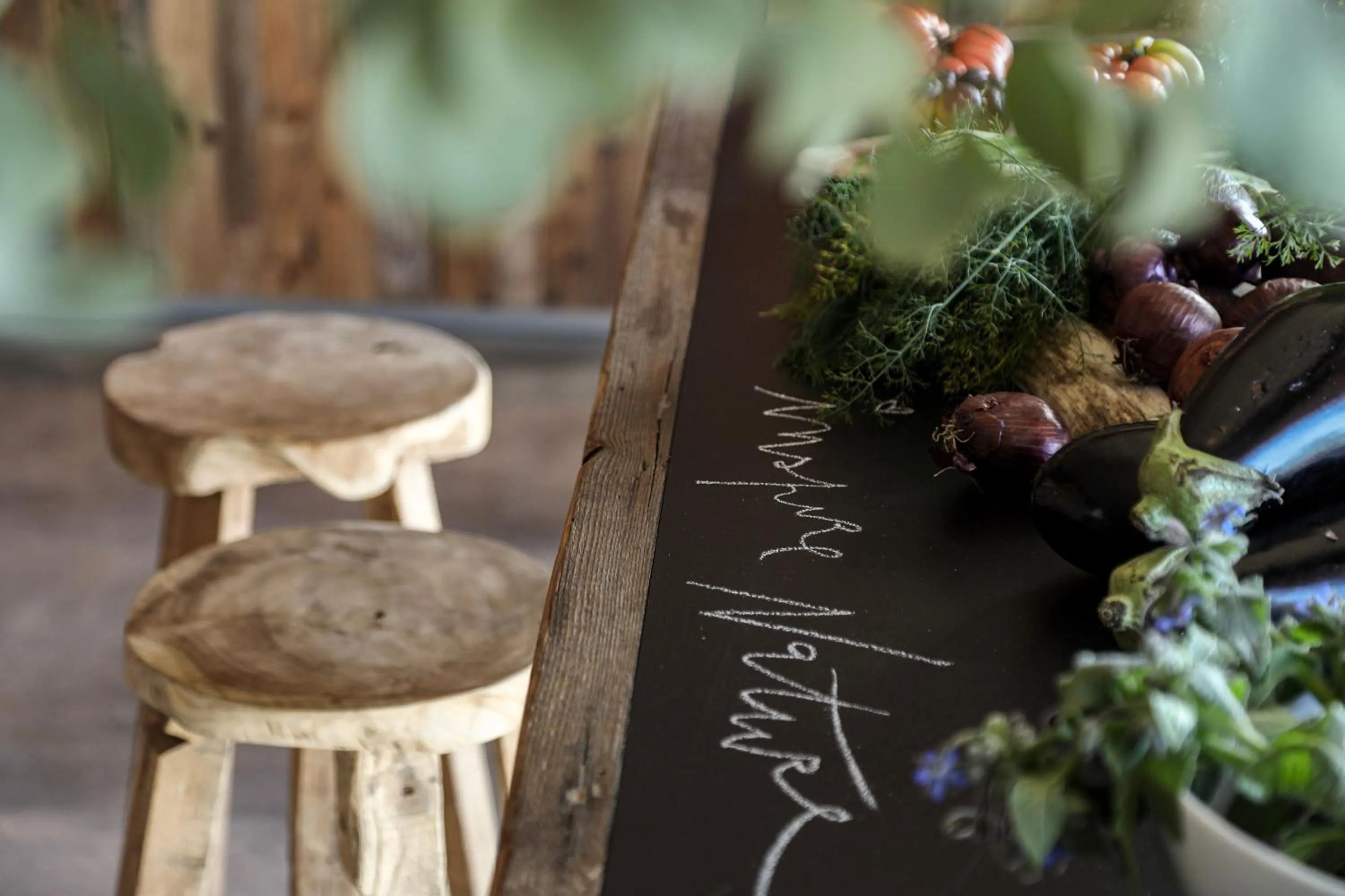 Areias do Seixo Villas