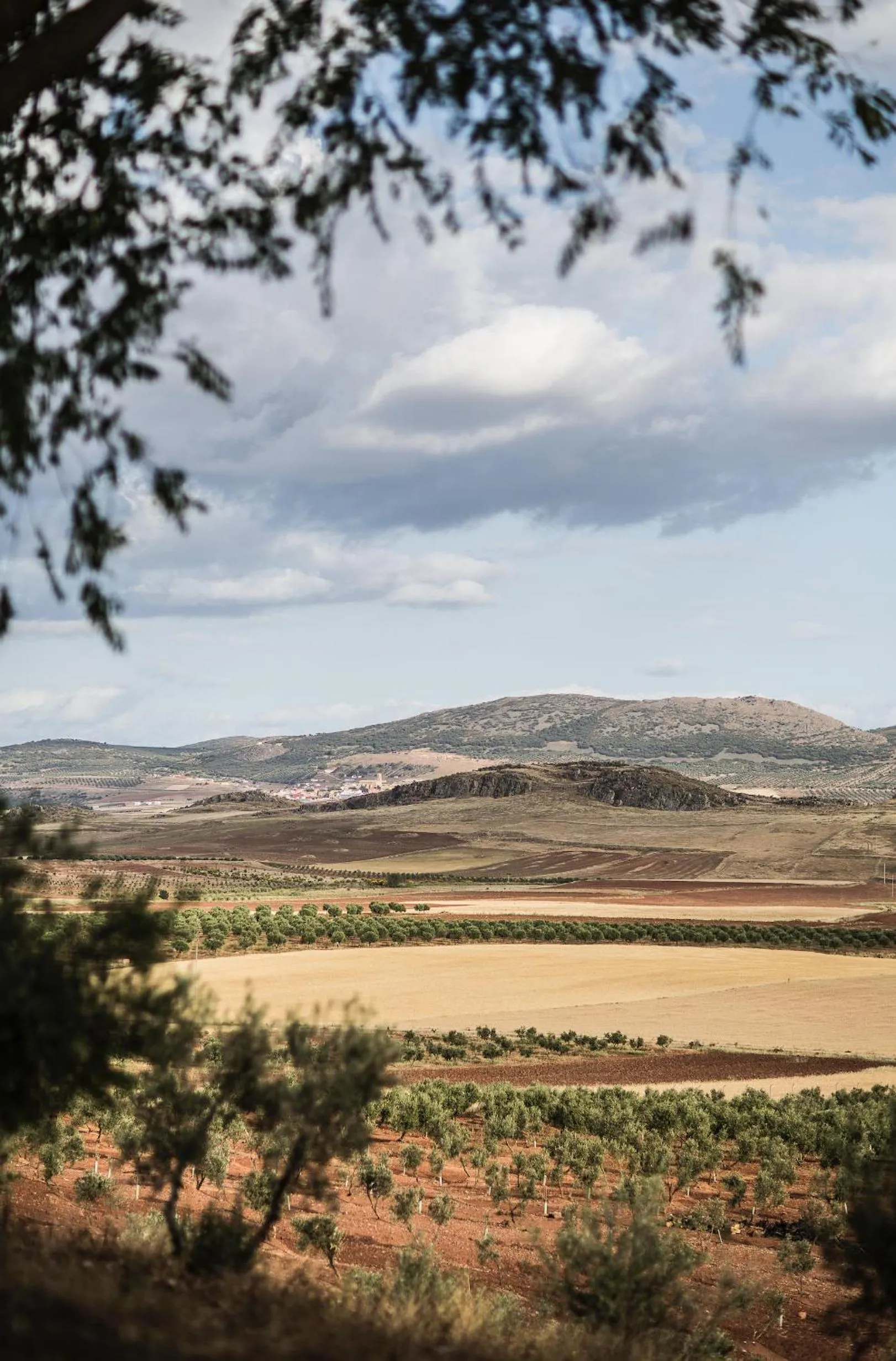 Hotel El Coto De Quevedo