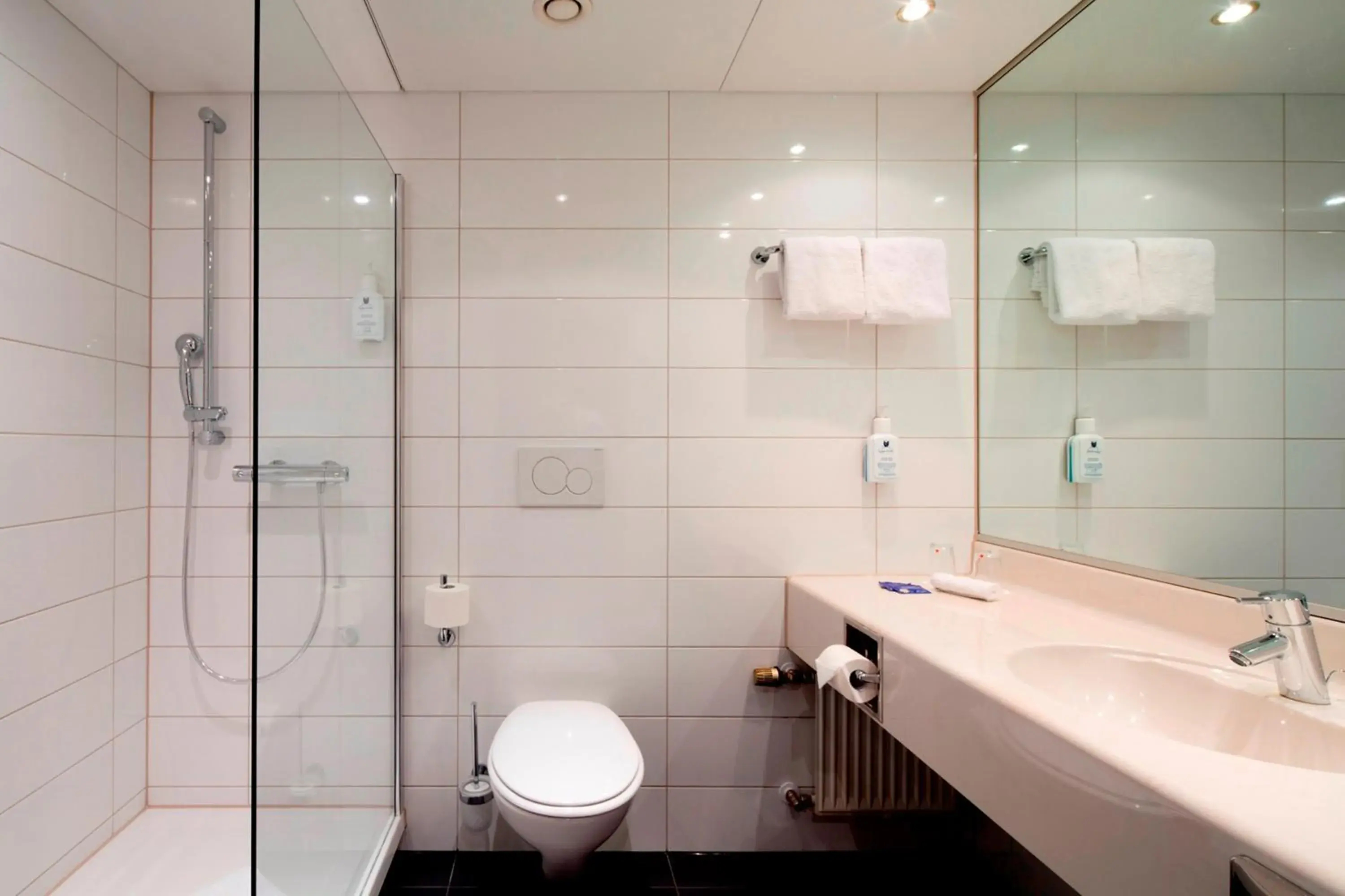 Bathroom in Erikson Hotel Bathroom in Erikson Hotel