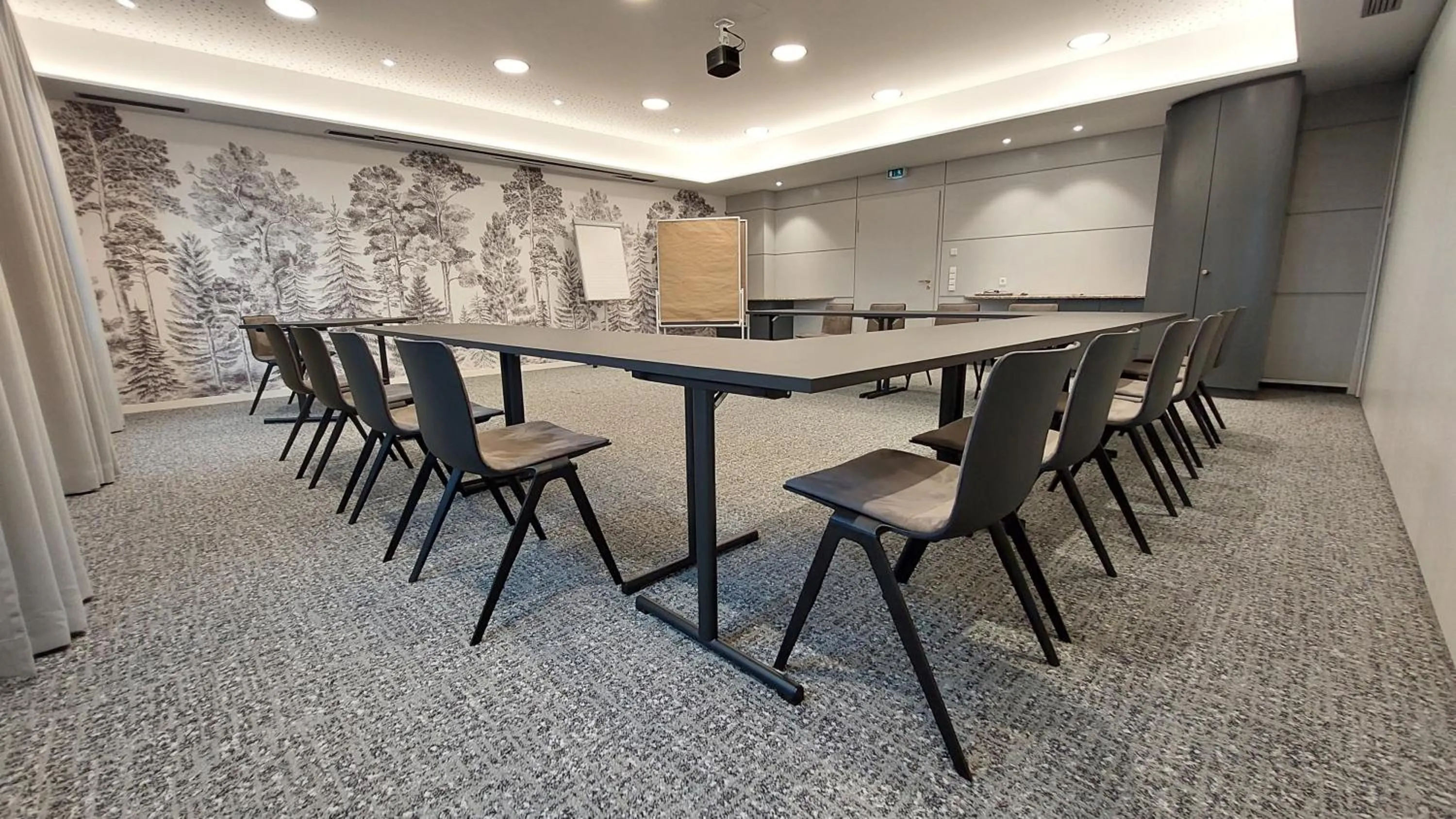 Meeting/conference room in Erikson Hotel