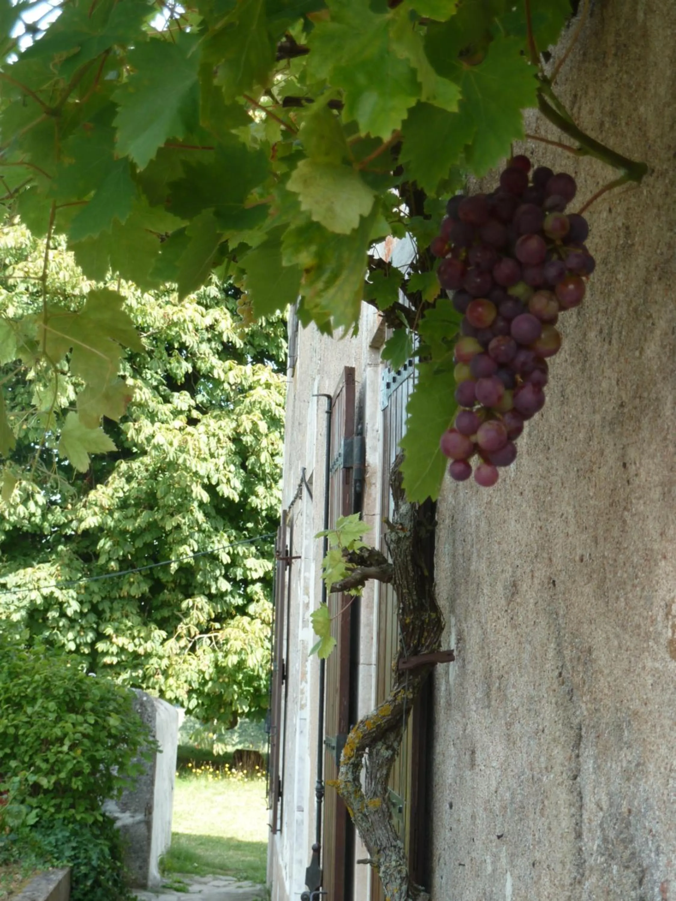 Property building in A L'Ombre Du Marronnier GITES