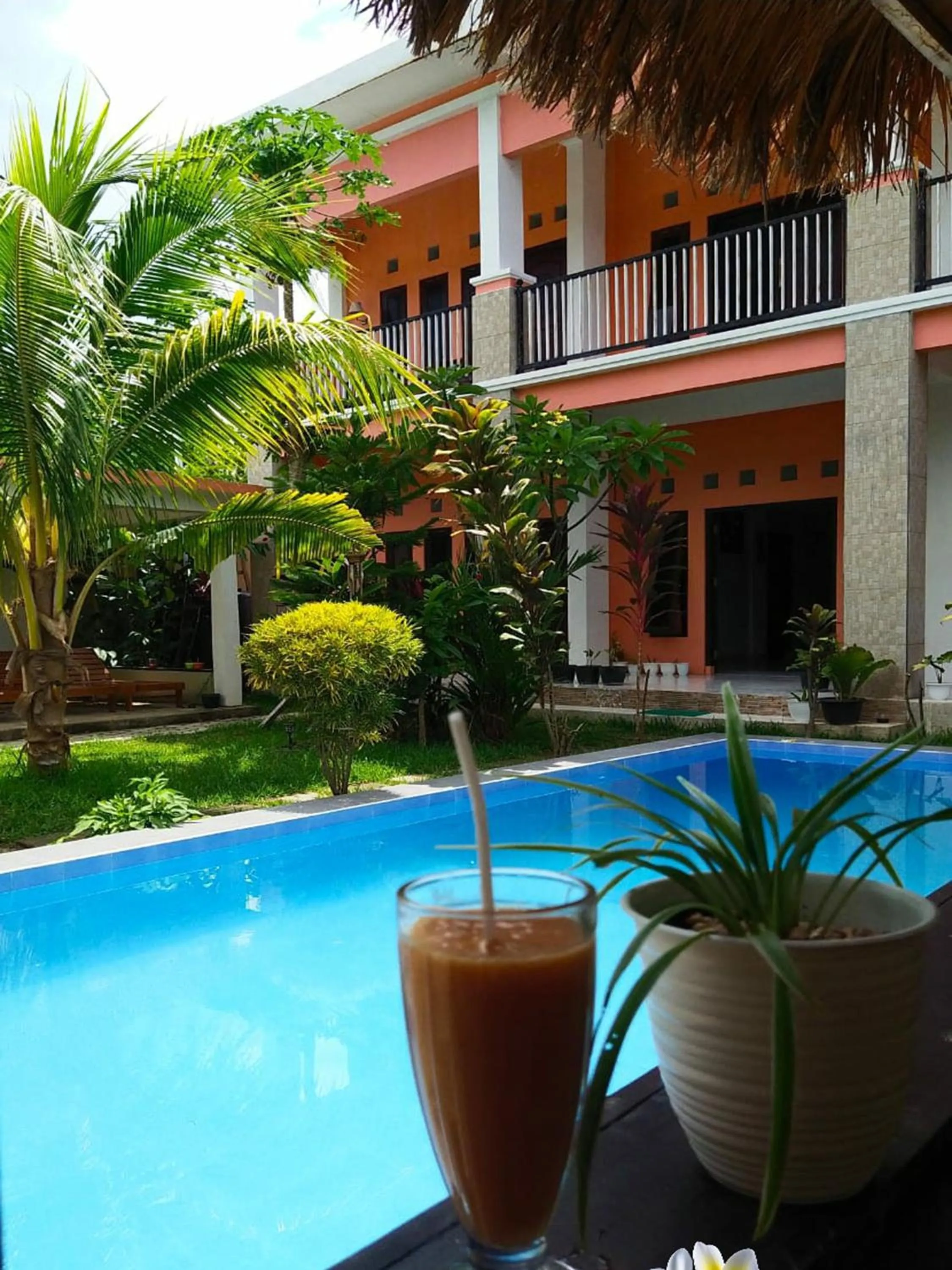 Villa de Owis