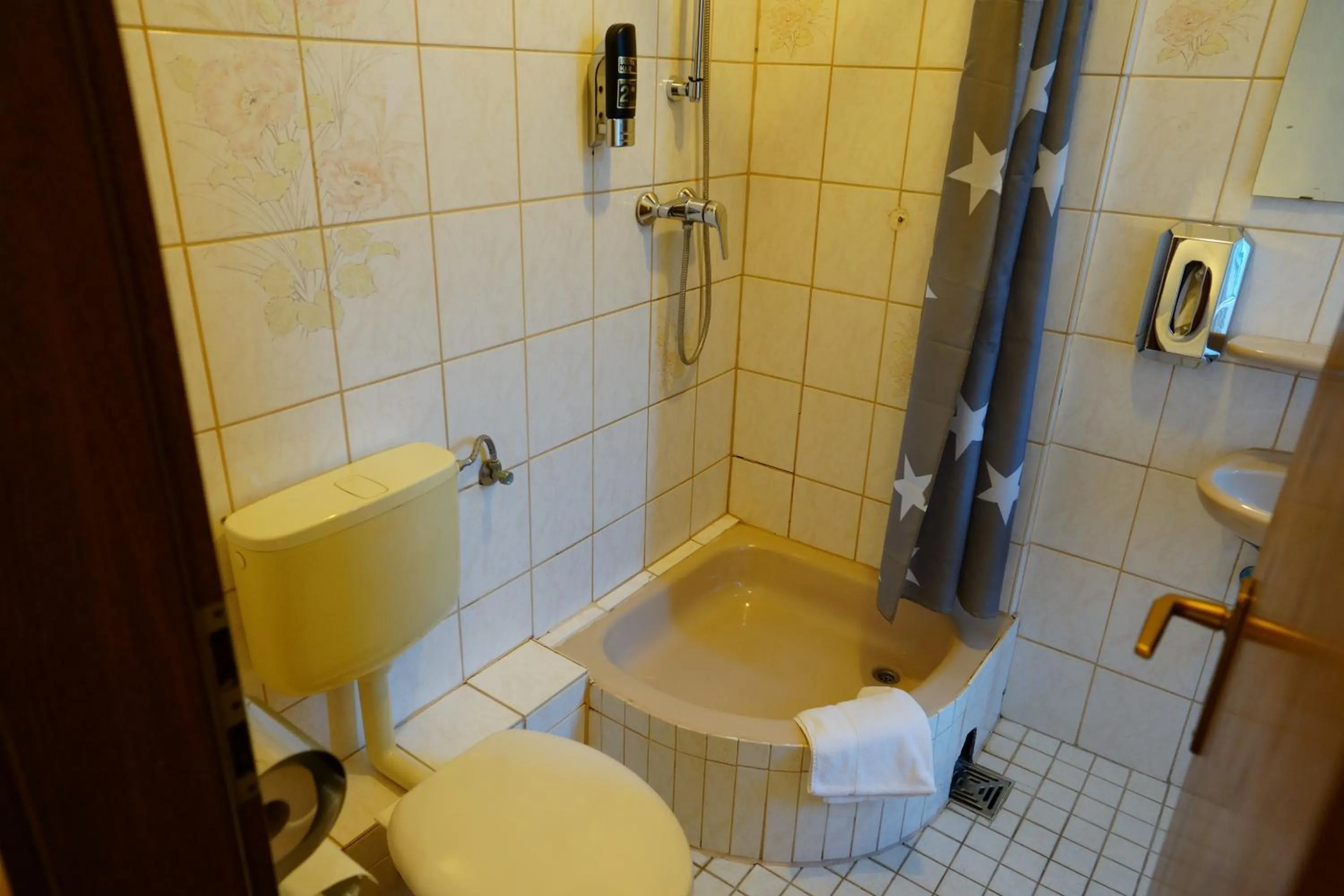 Shower in Hotel Margrit