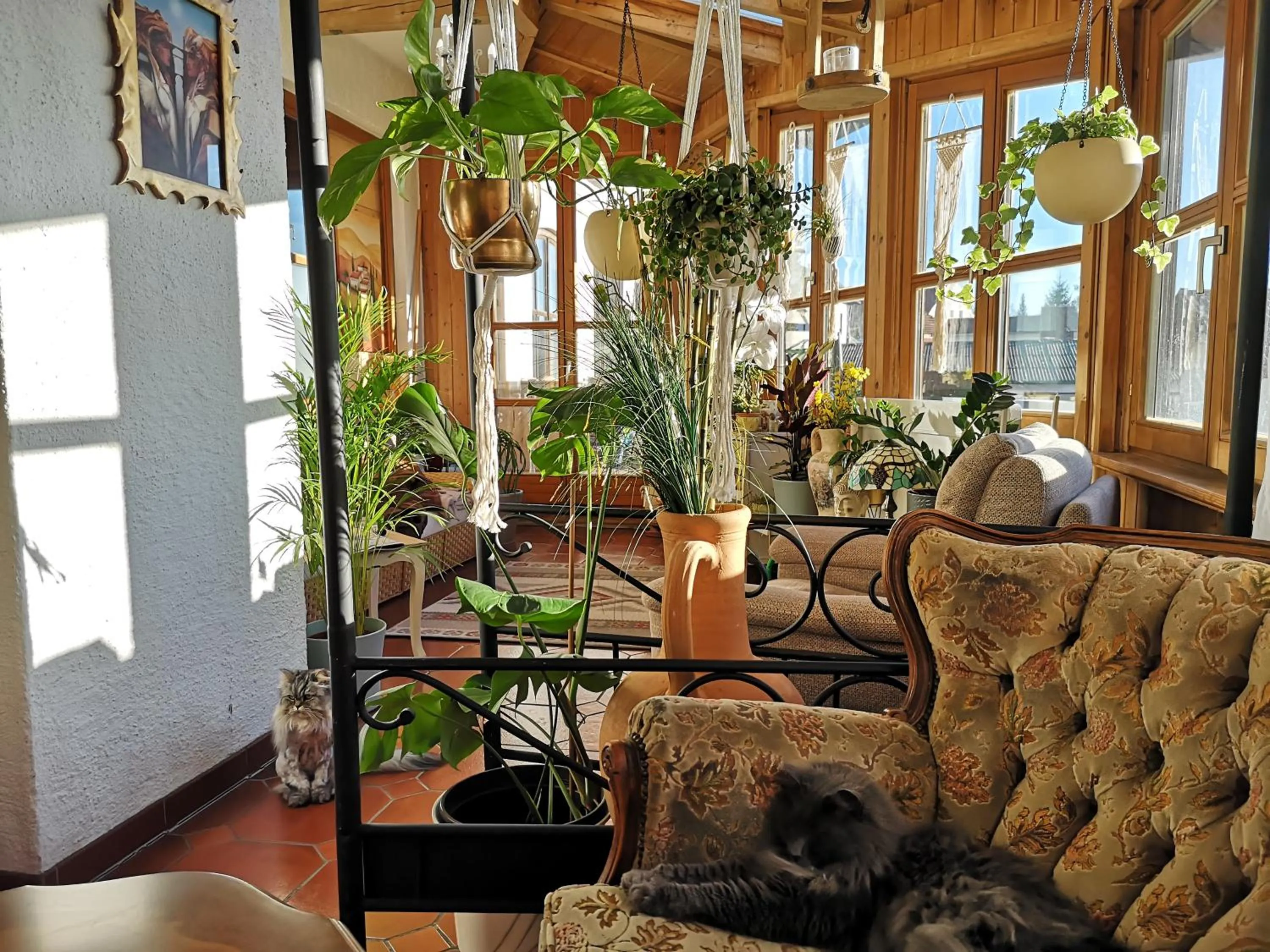 Restaurant/places to eat in Edel Weiss Gästezimmer