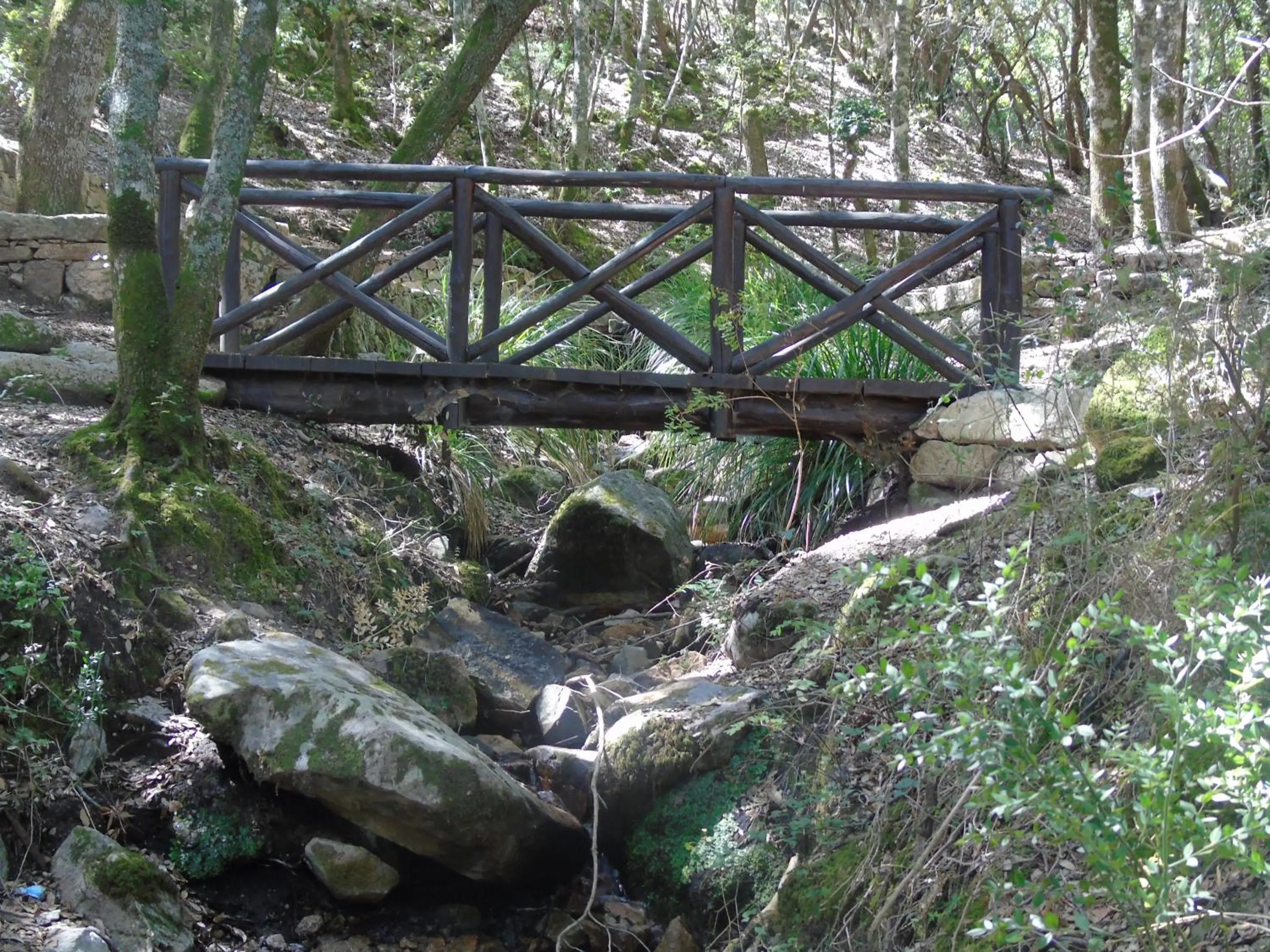 Natural landscape in Villa Graziosa